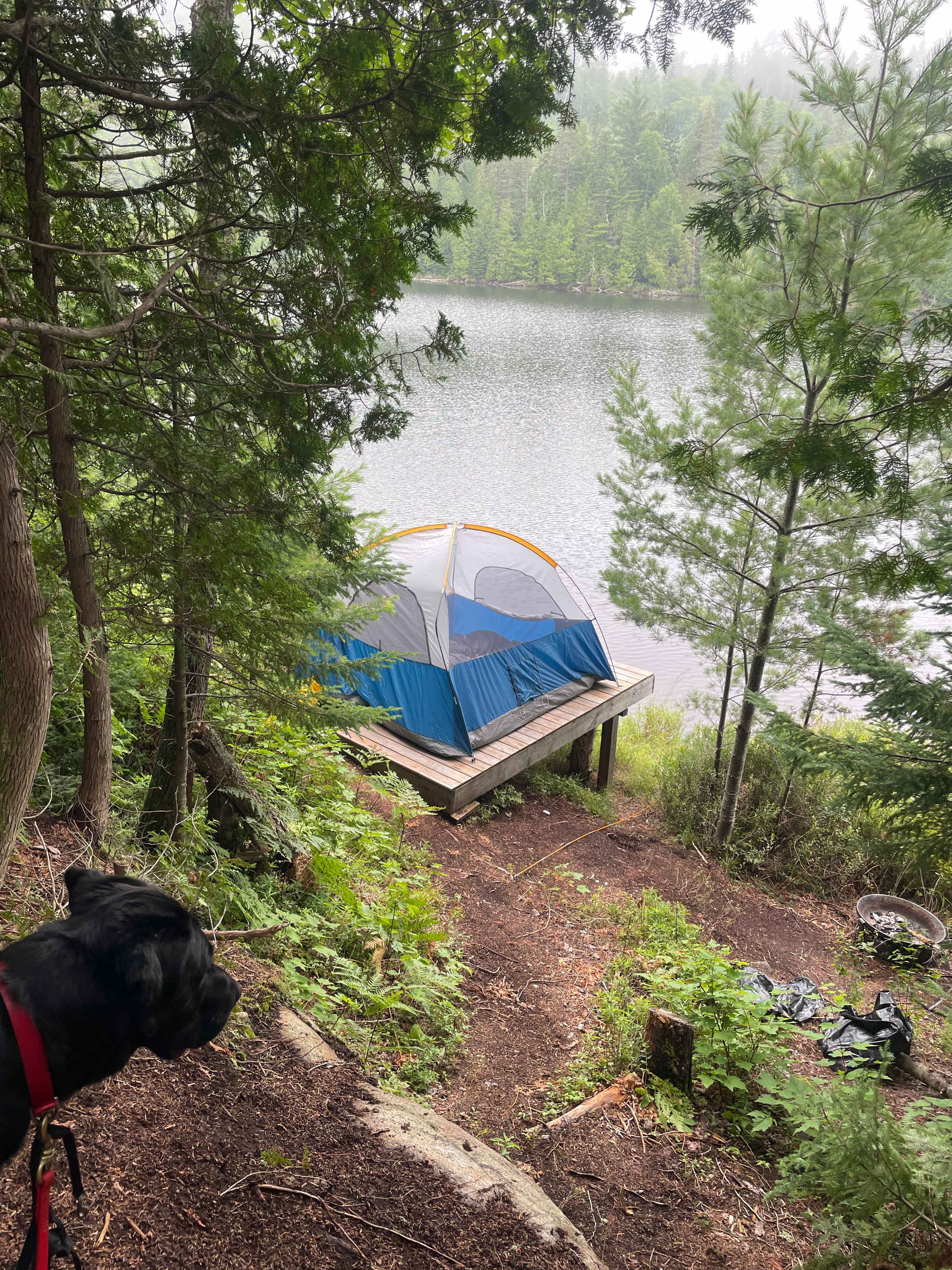 Dobedo Camps