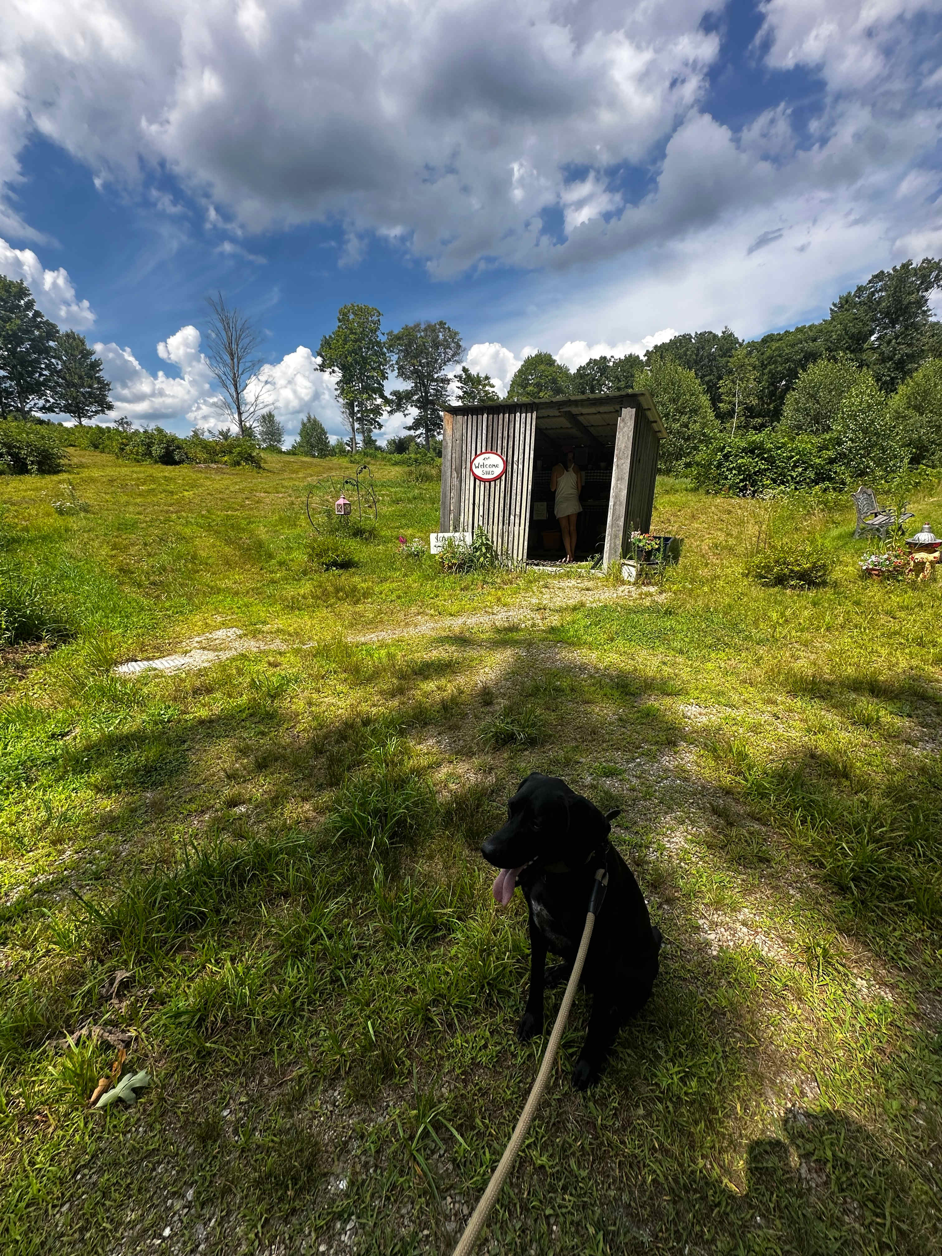 Welcome shed 