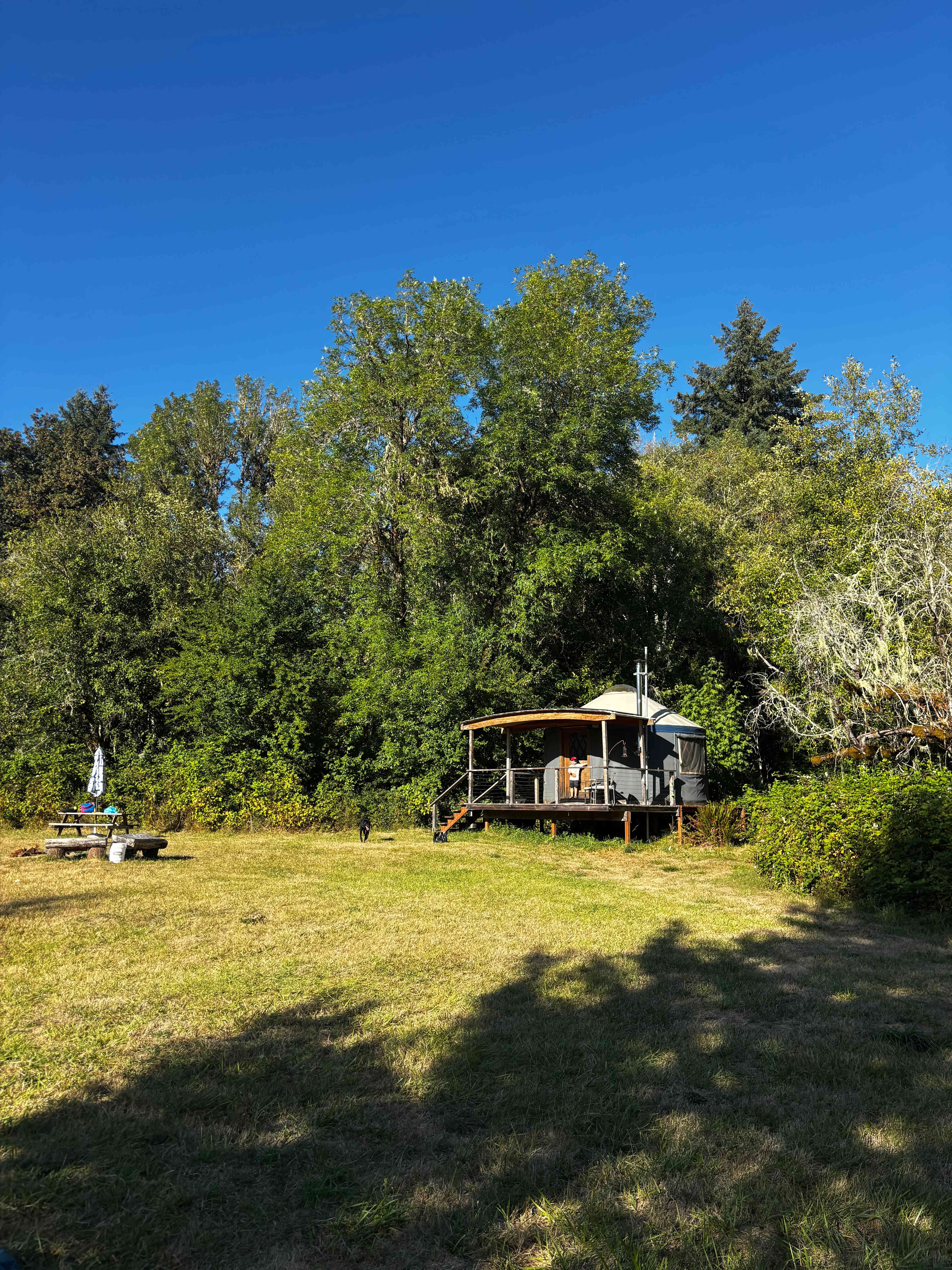 Squared Roots Farm Yurt