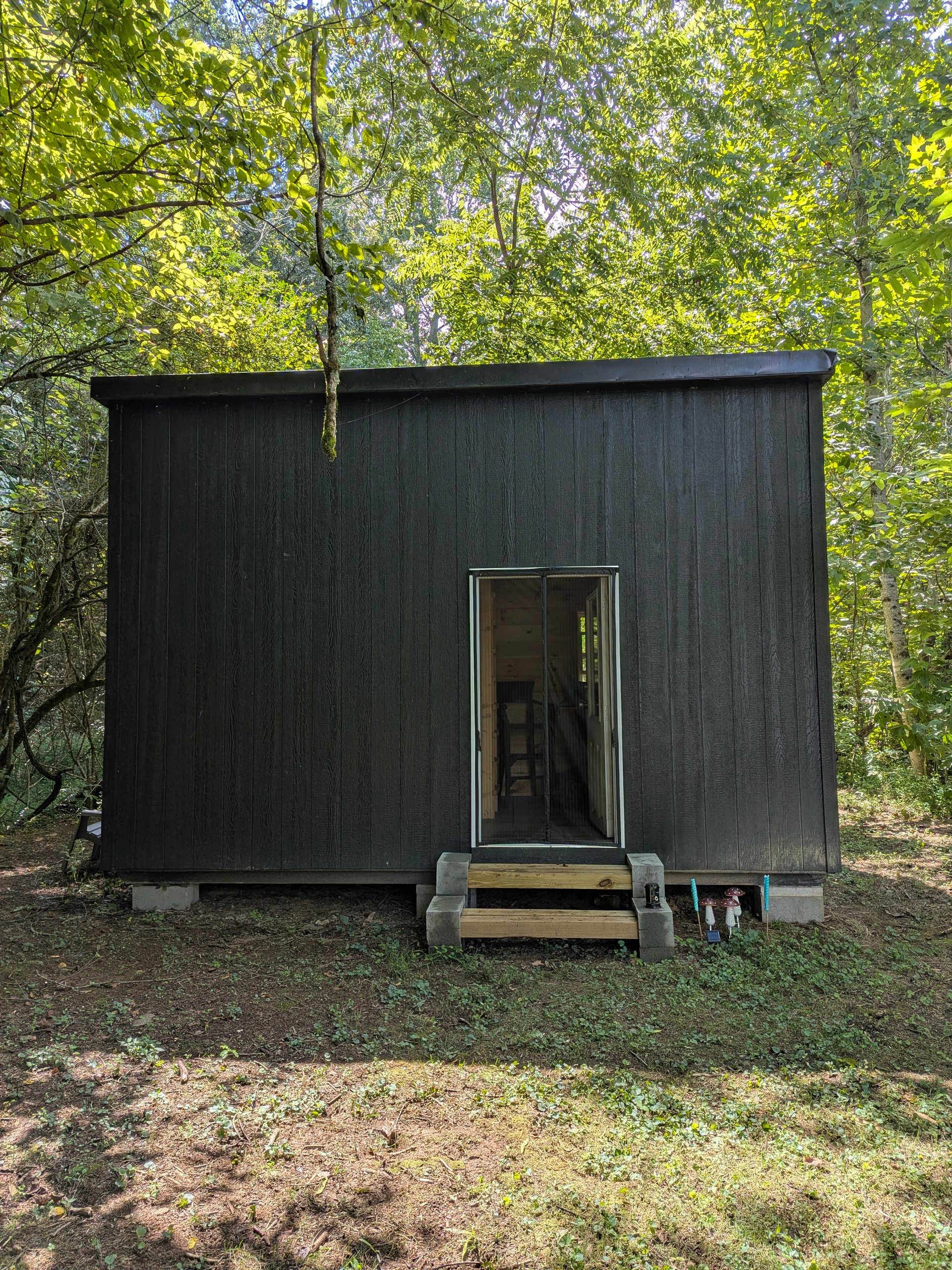 Meadowview Springs