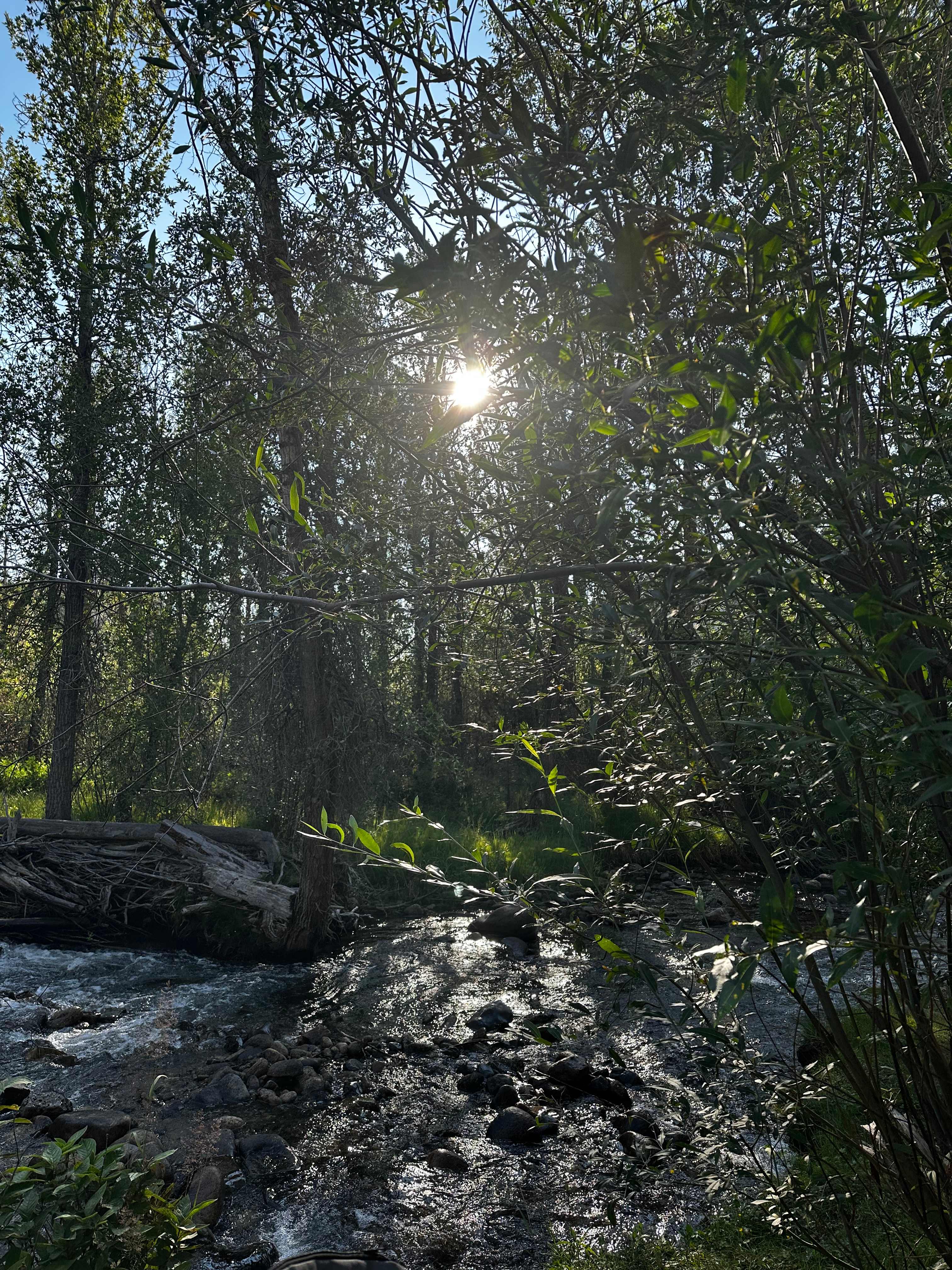 Monarch Spur RV Park and Campground
