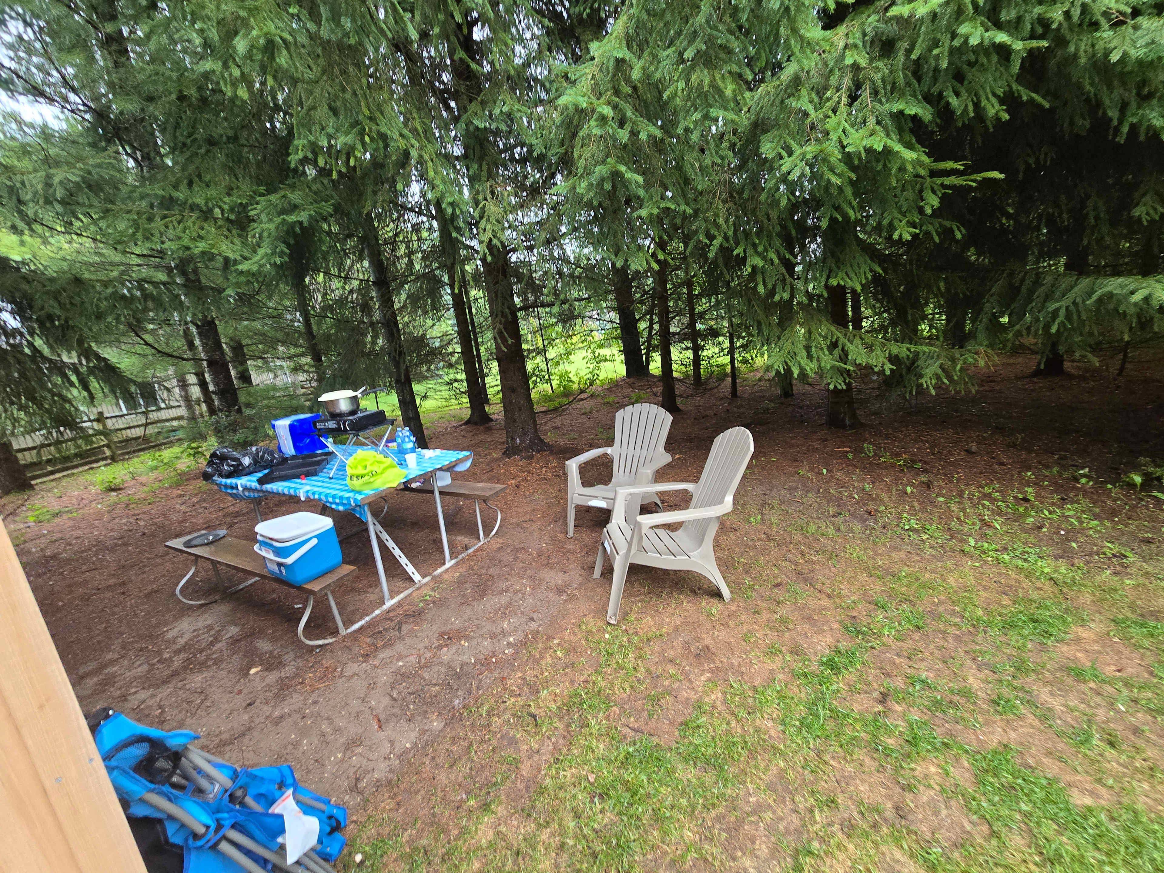 Willow Pond Haven