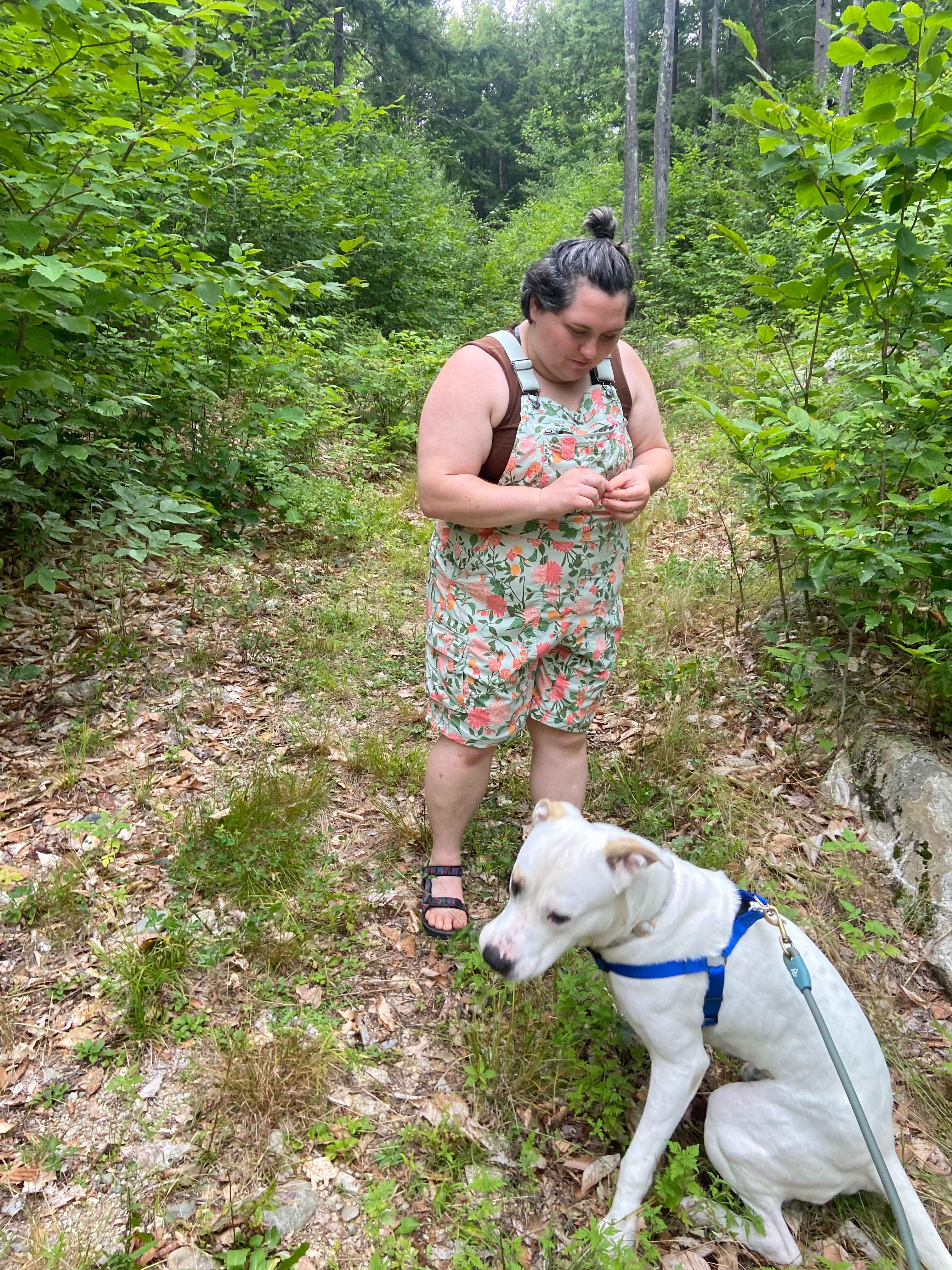 walking trails with some wild raspberries 