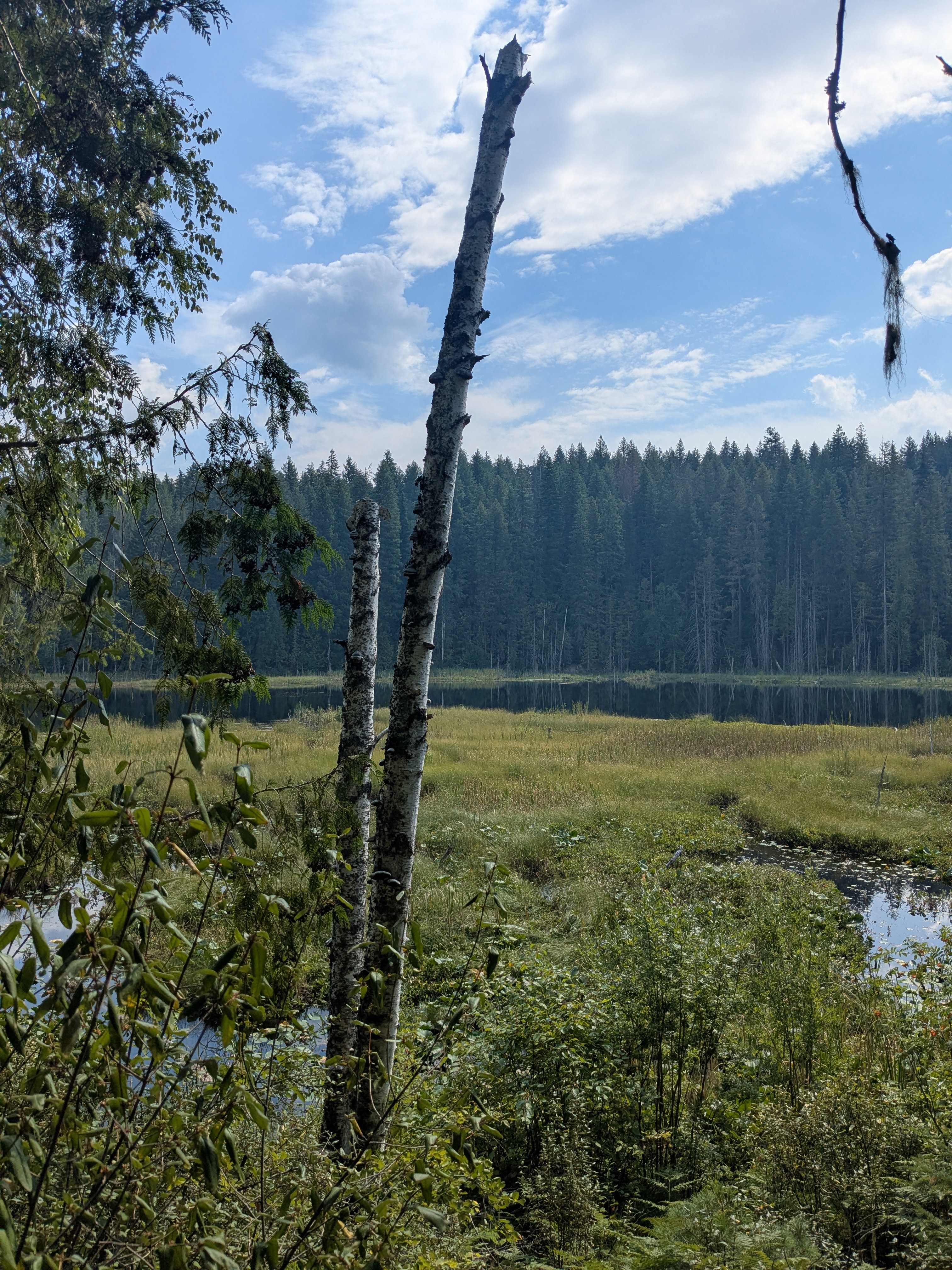 Herman Lake Wilderness Campground