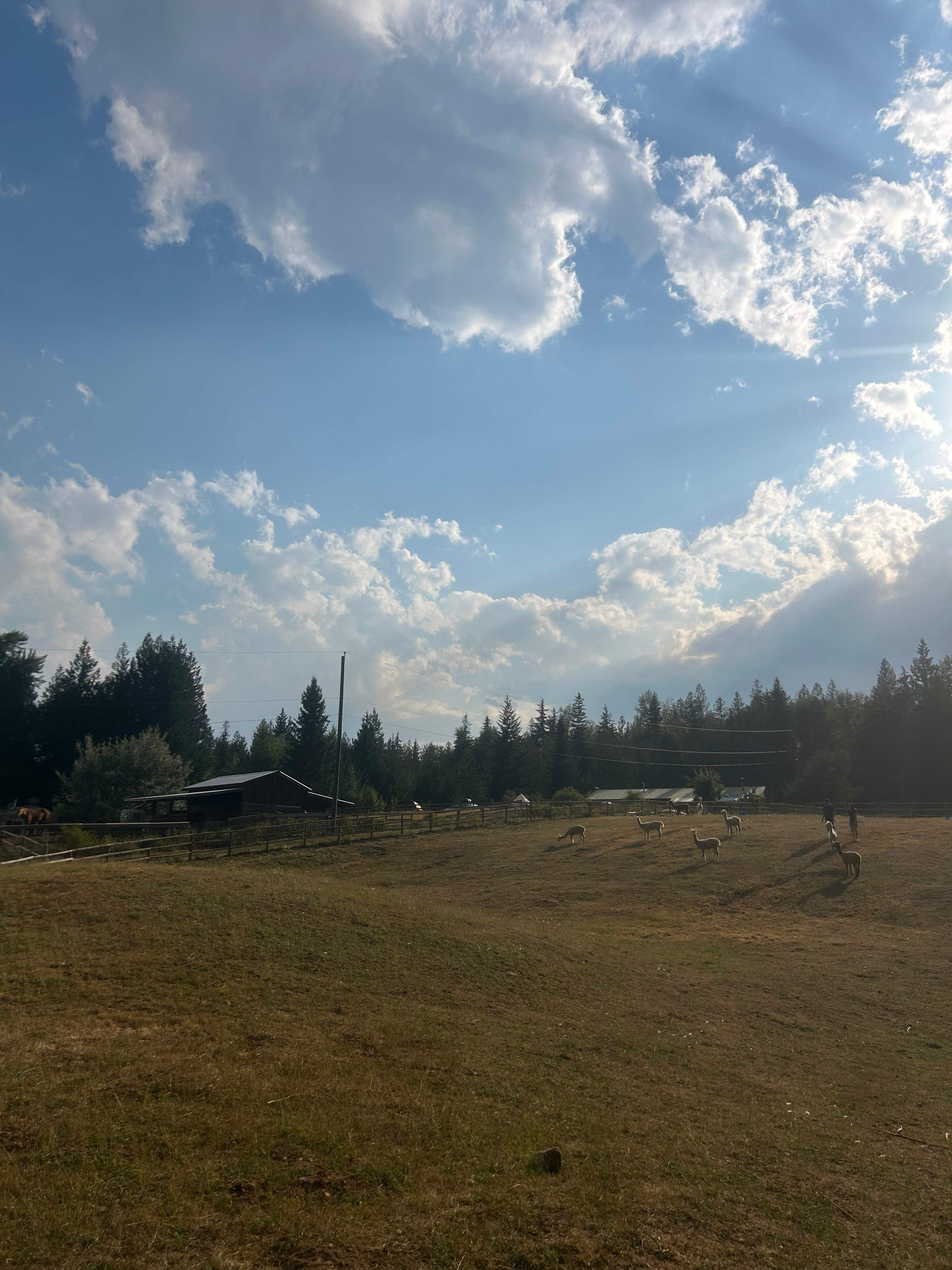 view of the farm