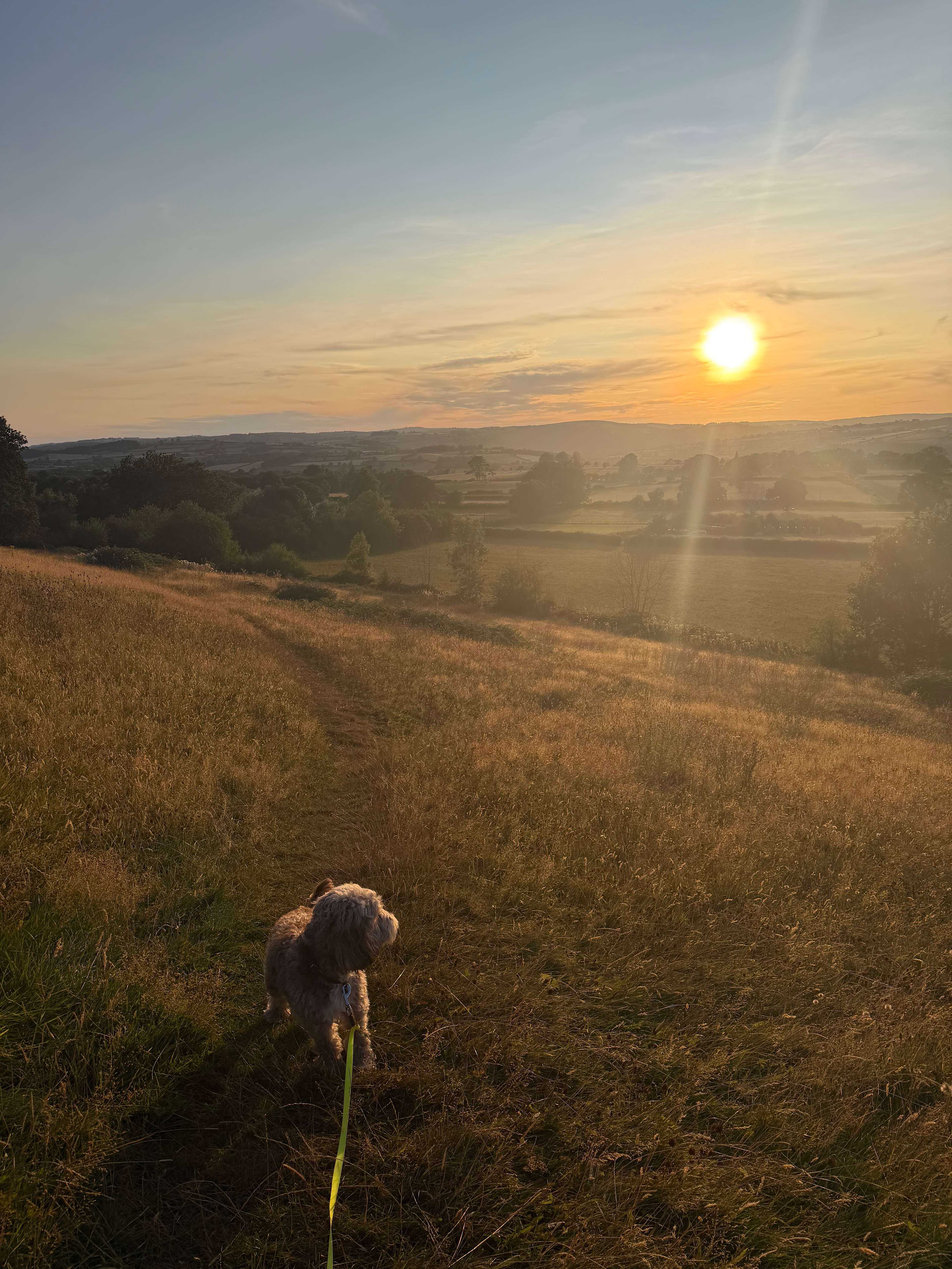 Newcourt Farm Campsite