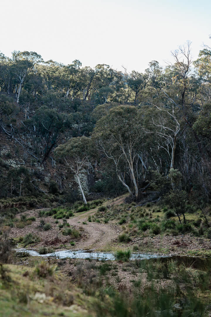 Farm Stay "Como Valley"@ Ben Bullen