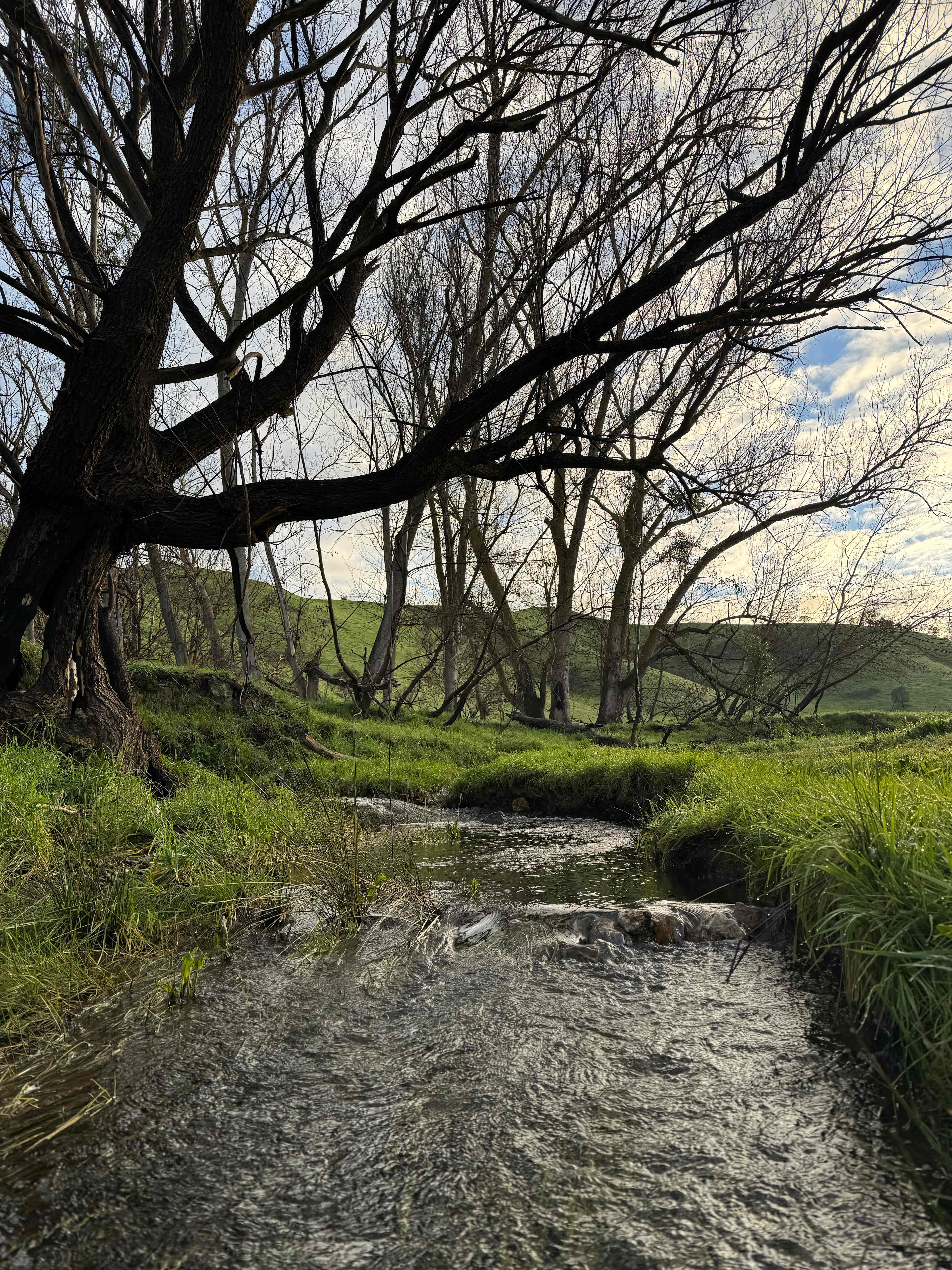 Peaceful place