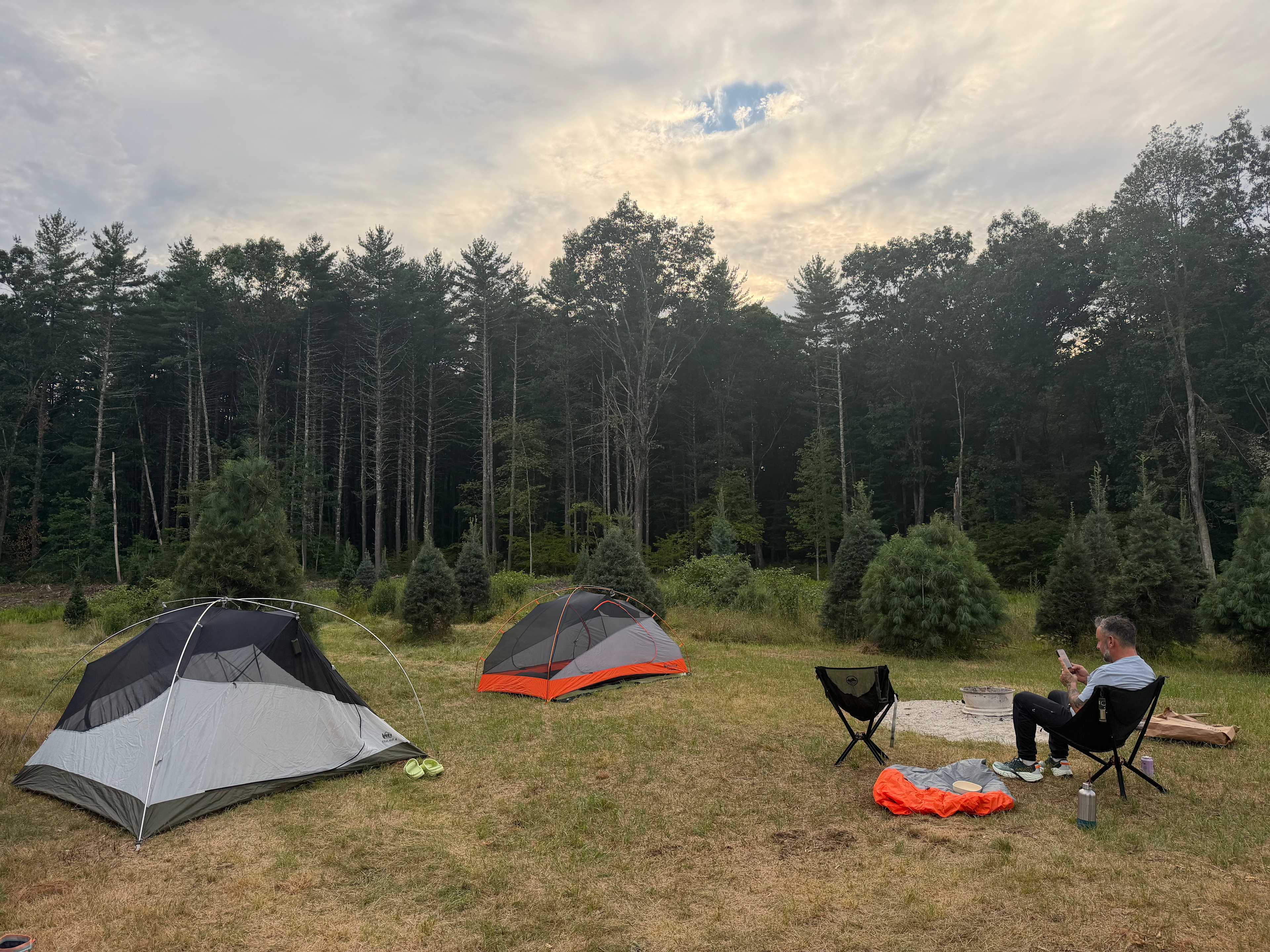Silveus Christmas Tree Farm