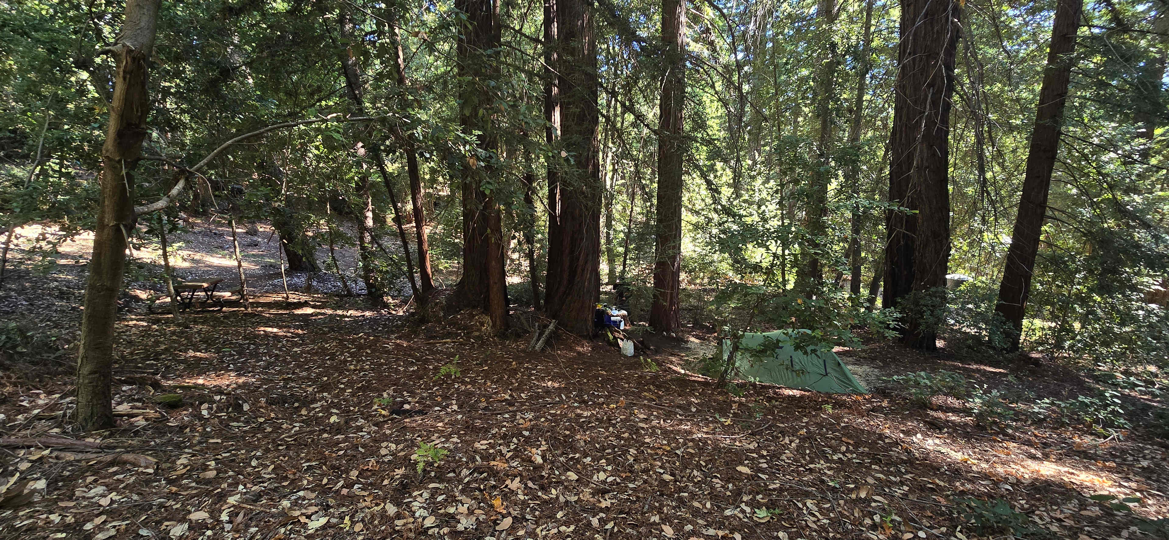 Sacred Earth Retreat (SER)