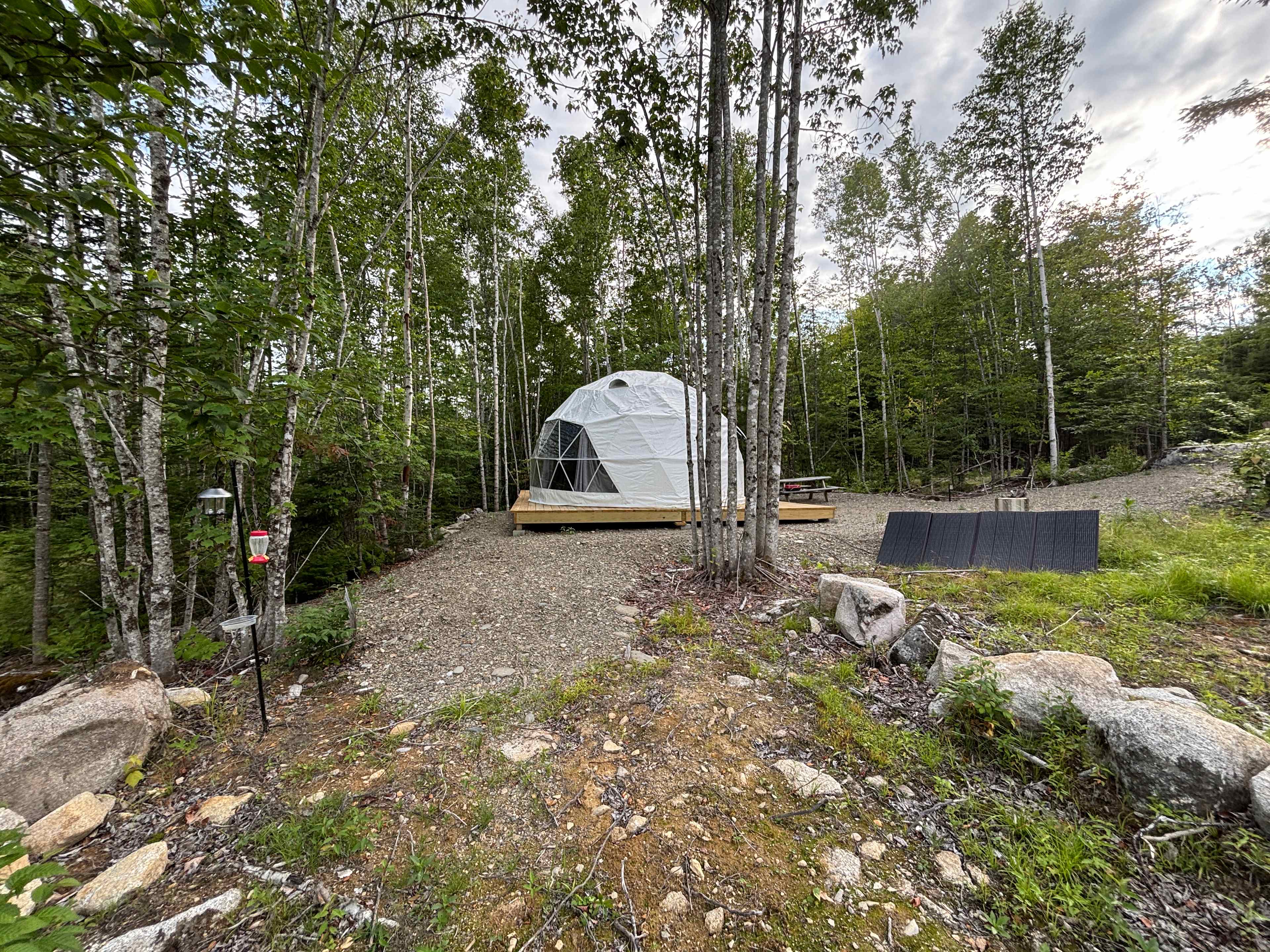 Picture of the site
