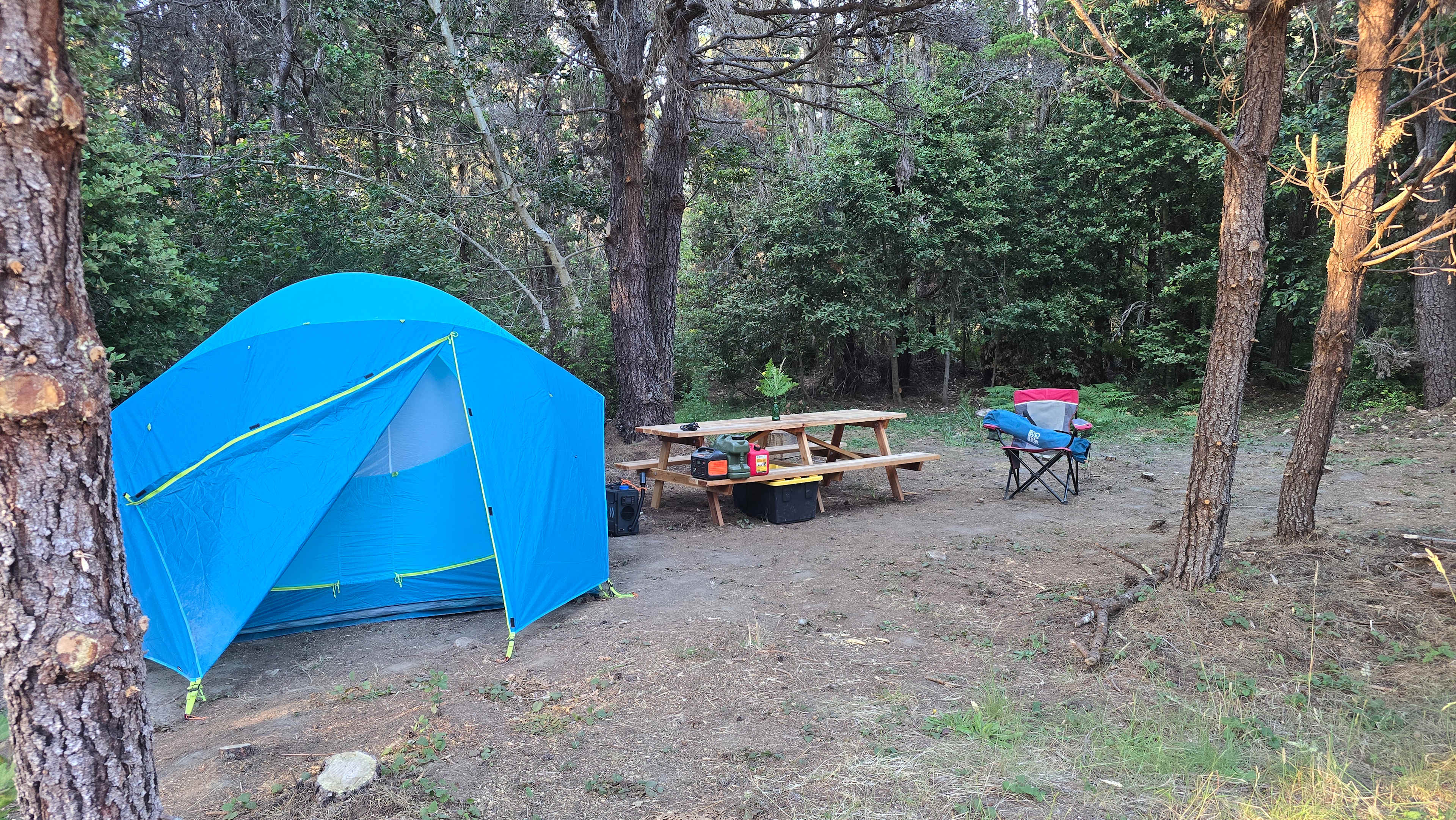 Camp Candy Cap - Coastal Paradise