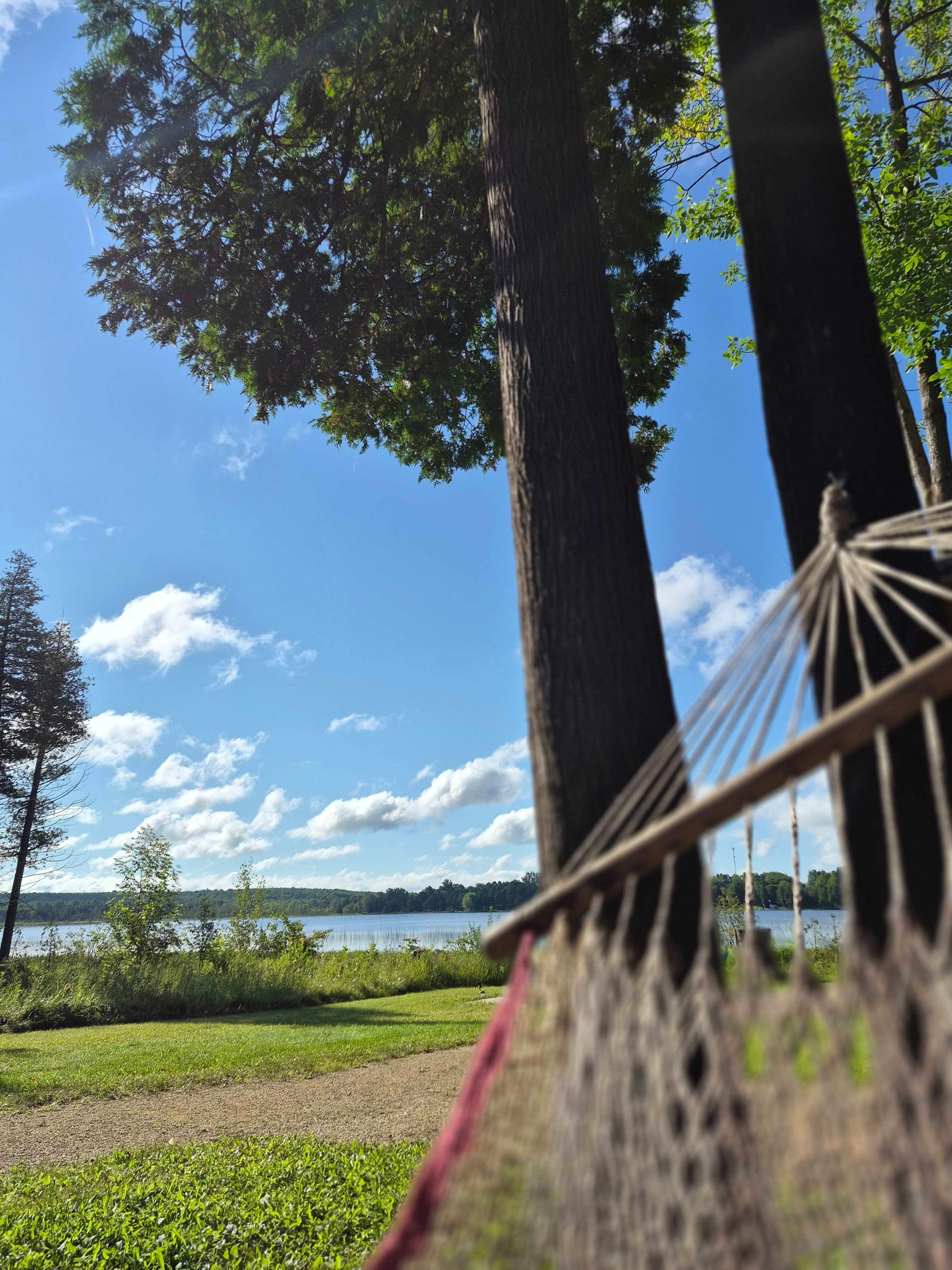 View from hammock