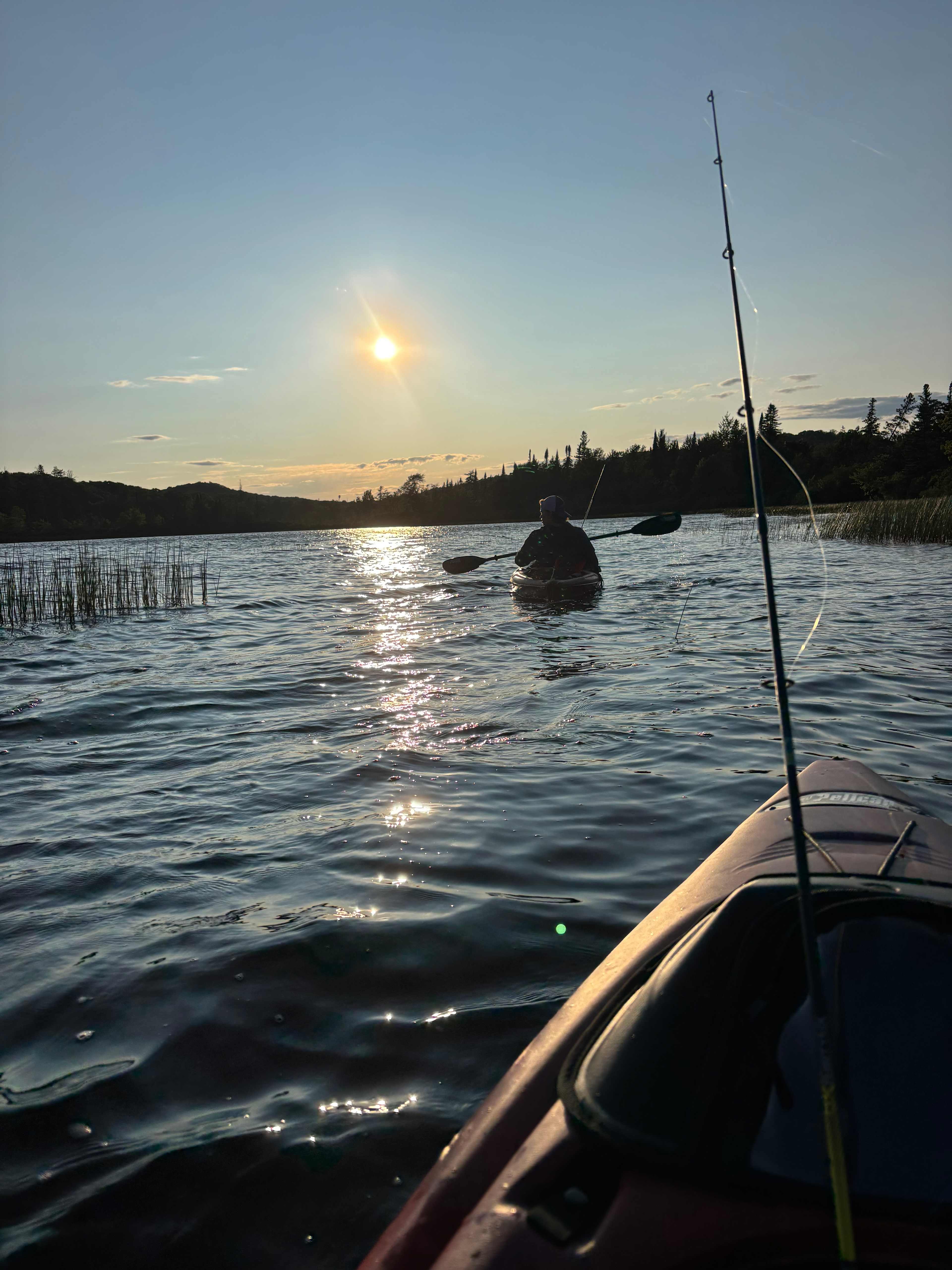 Muskoka Wellness Retreat