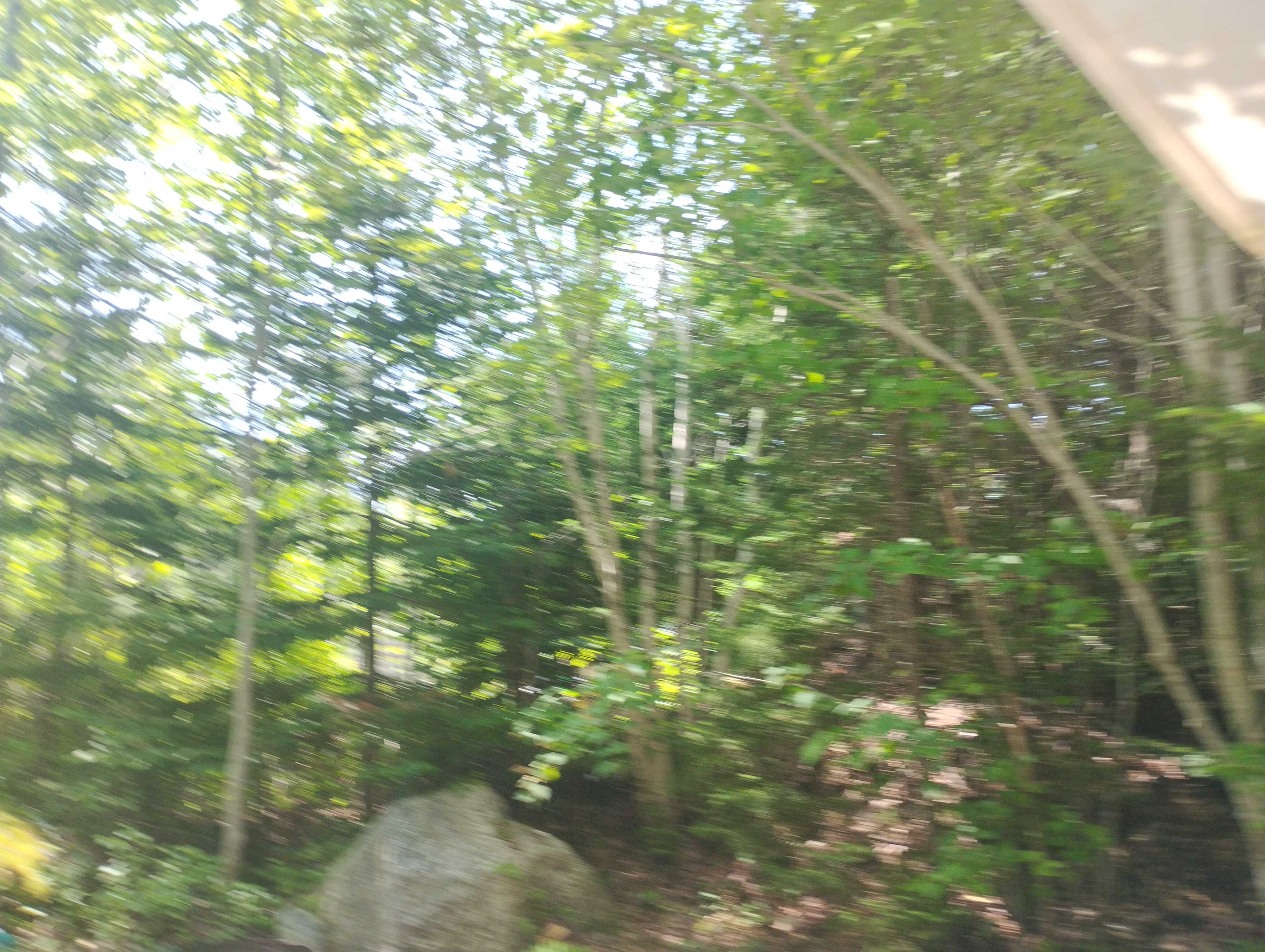 Littlewoods Glamping, Nova Scotia