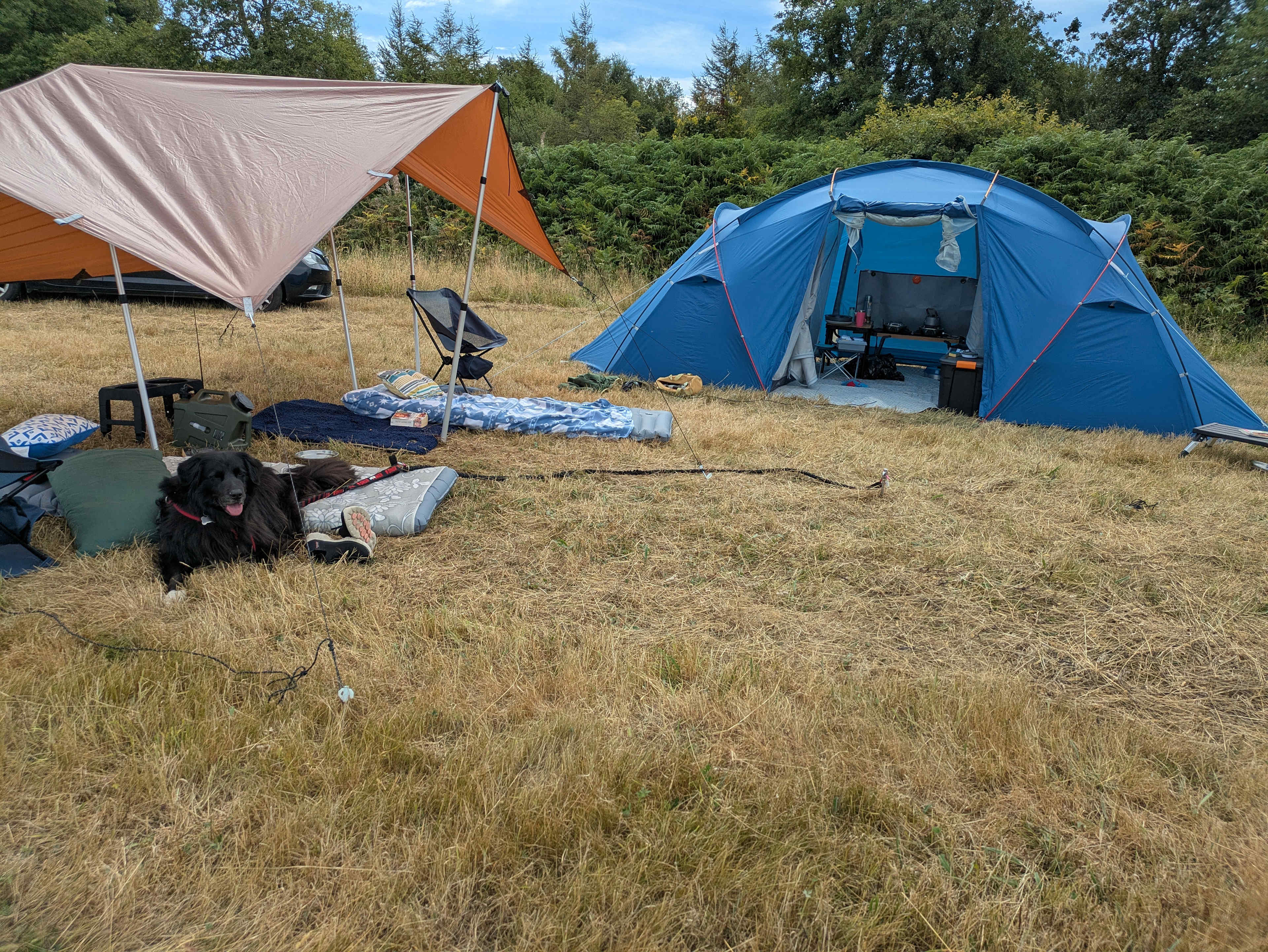 Picture of the site
