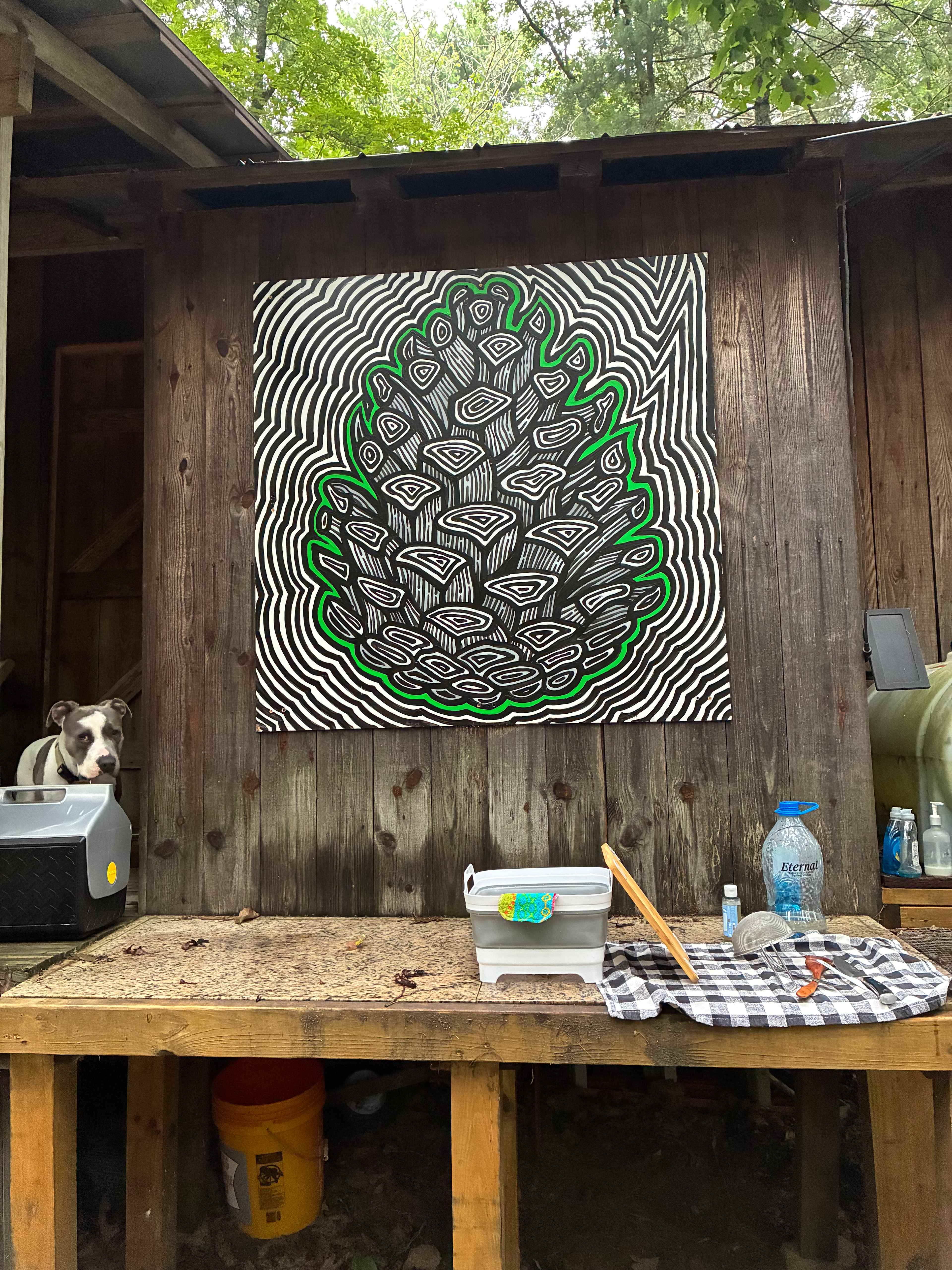 Stone Branch Cabin