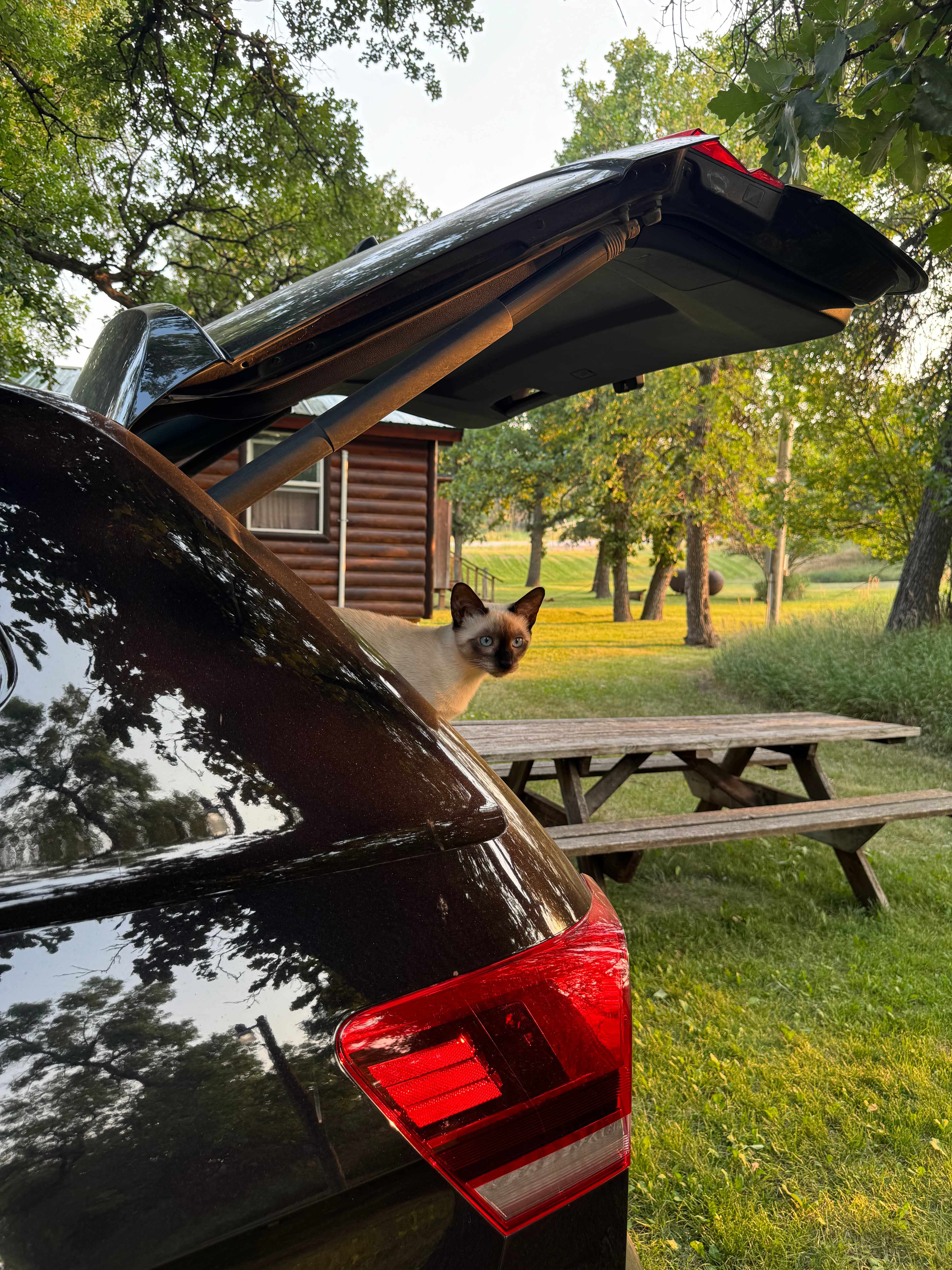 Screaming Eagle Campground
