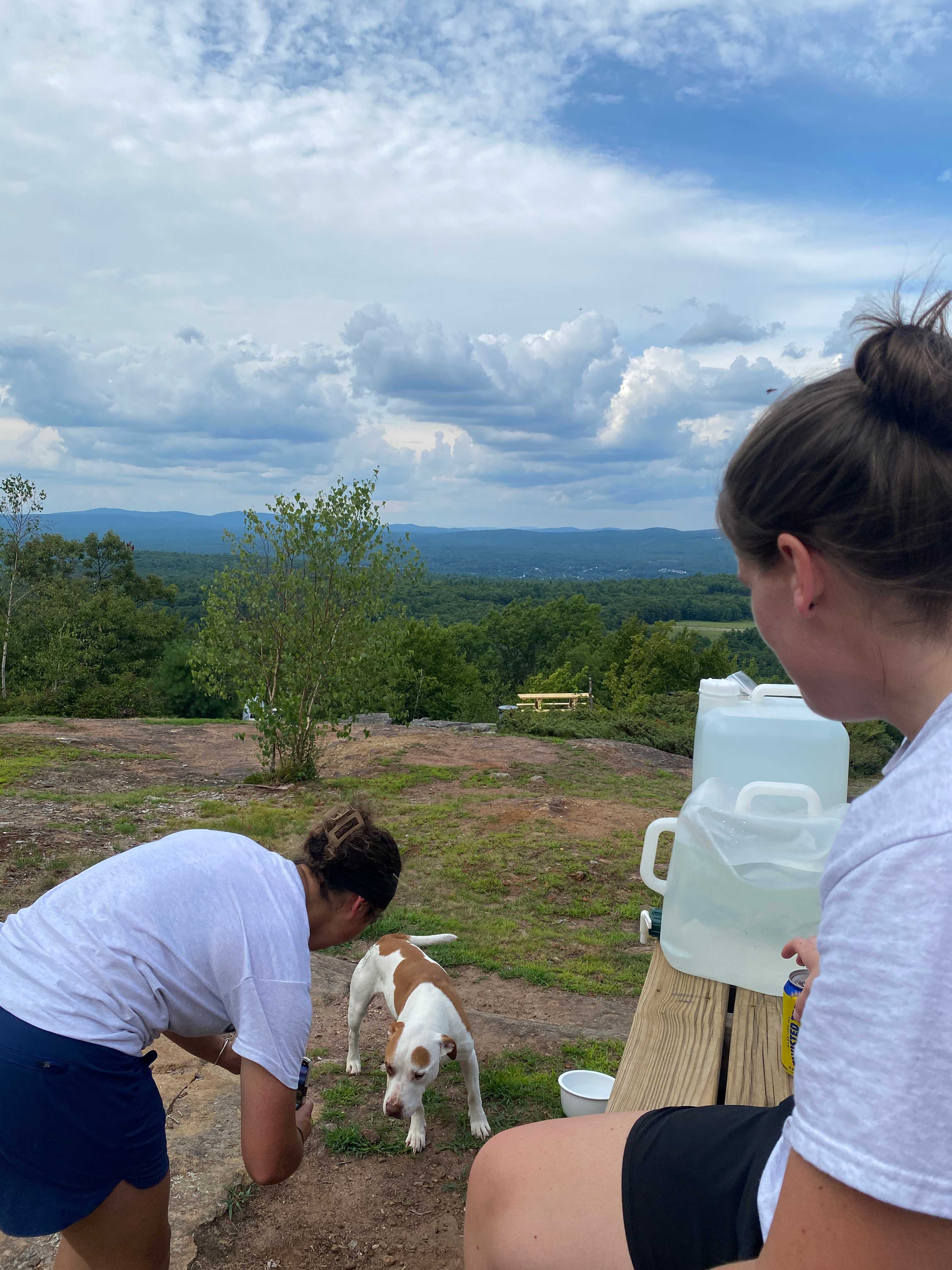 Hussey Mountain Tree Farm