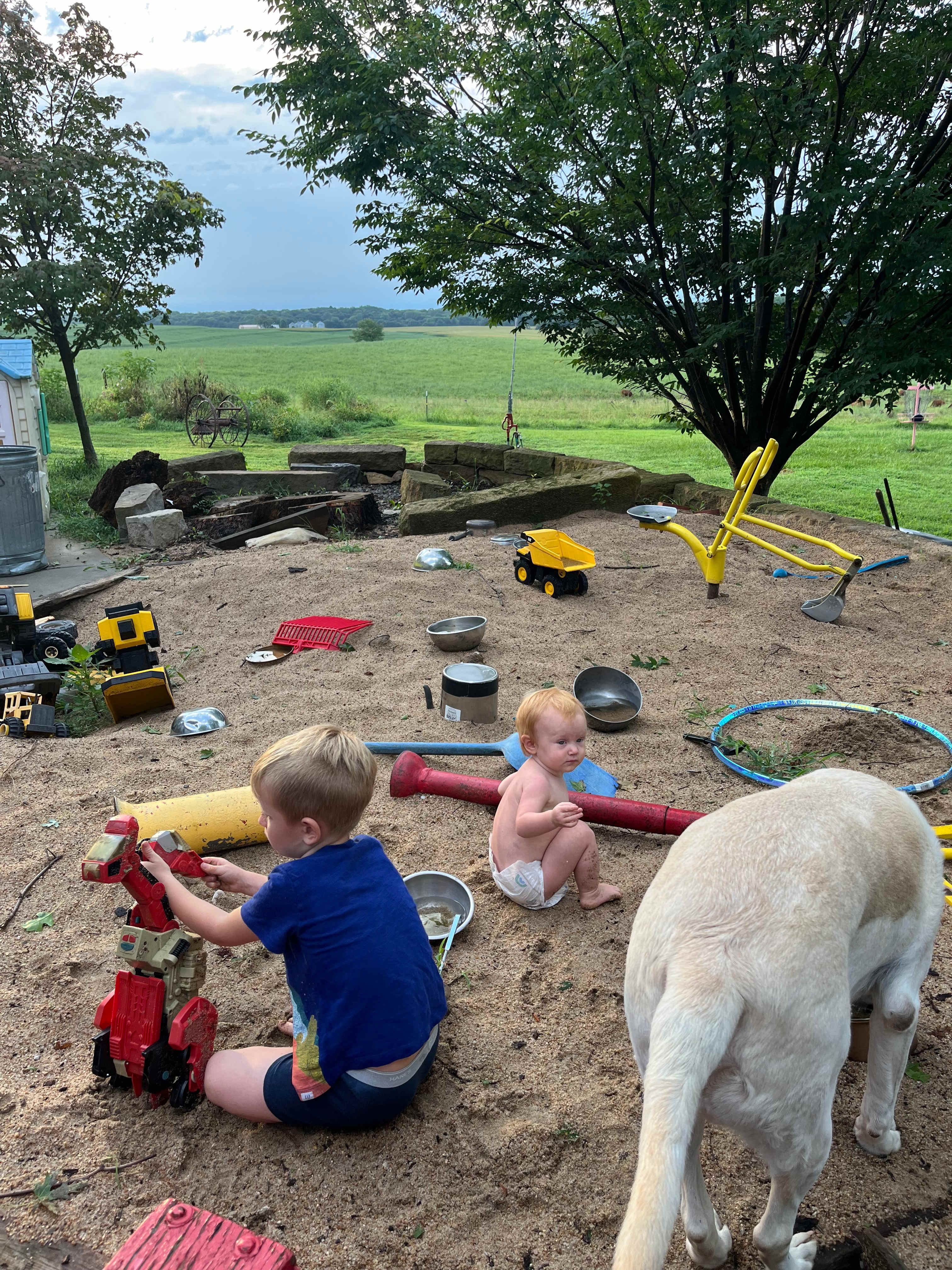 Sand box for the kids