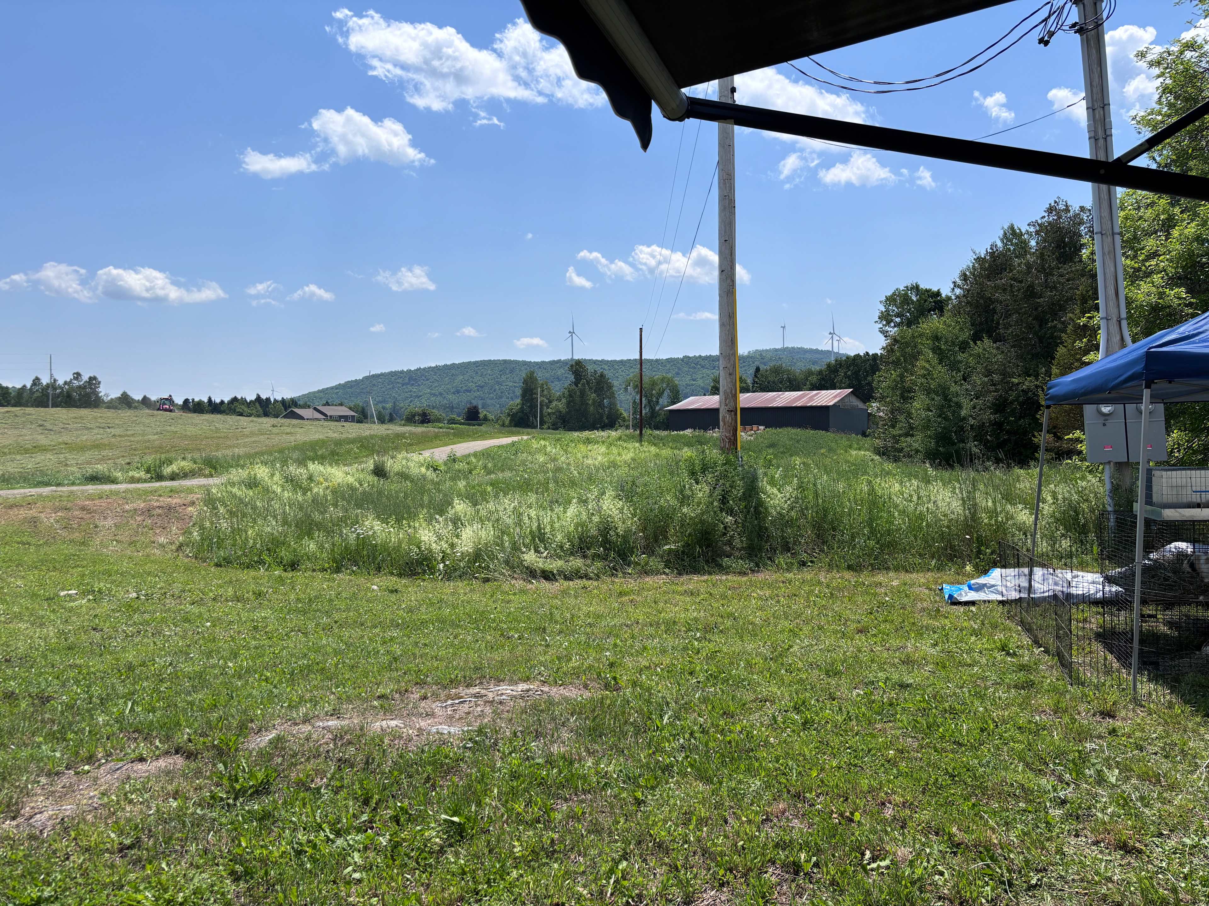 Camp Cryptid Creek
