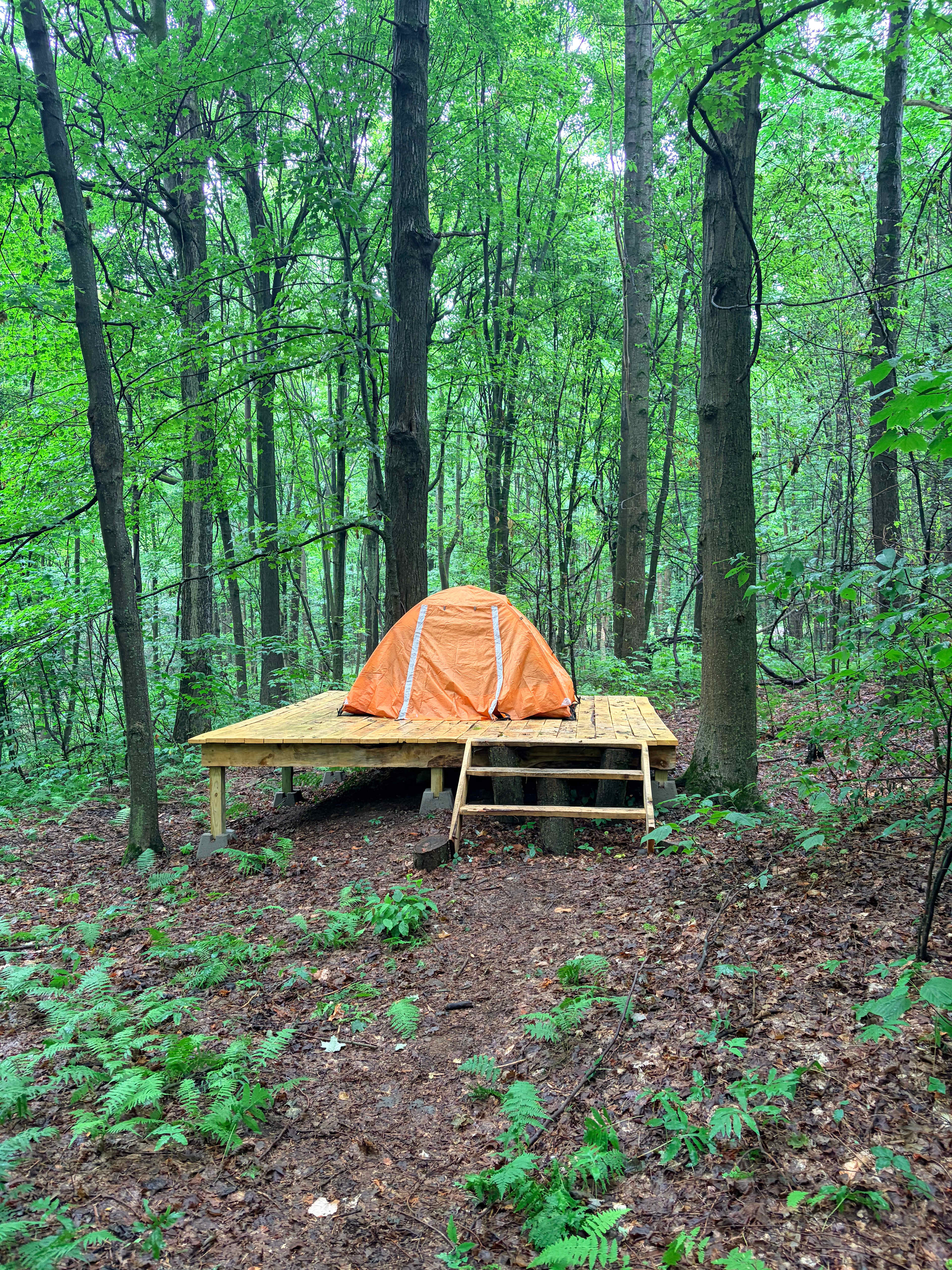 Zoar Valley Forest Retreat