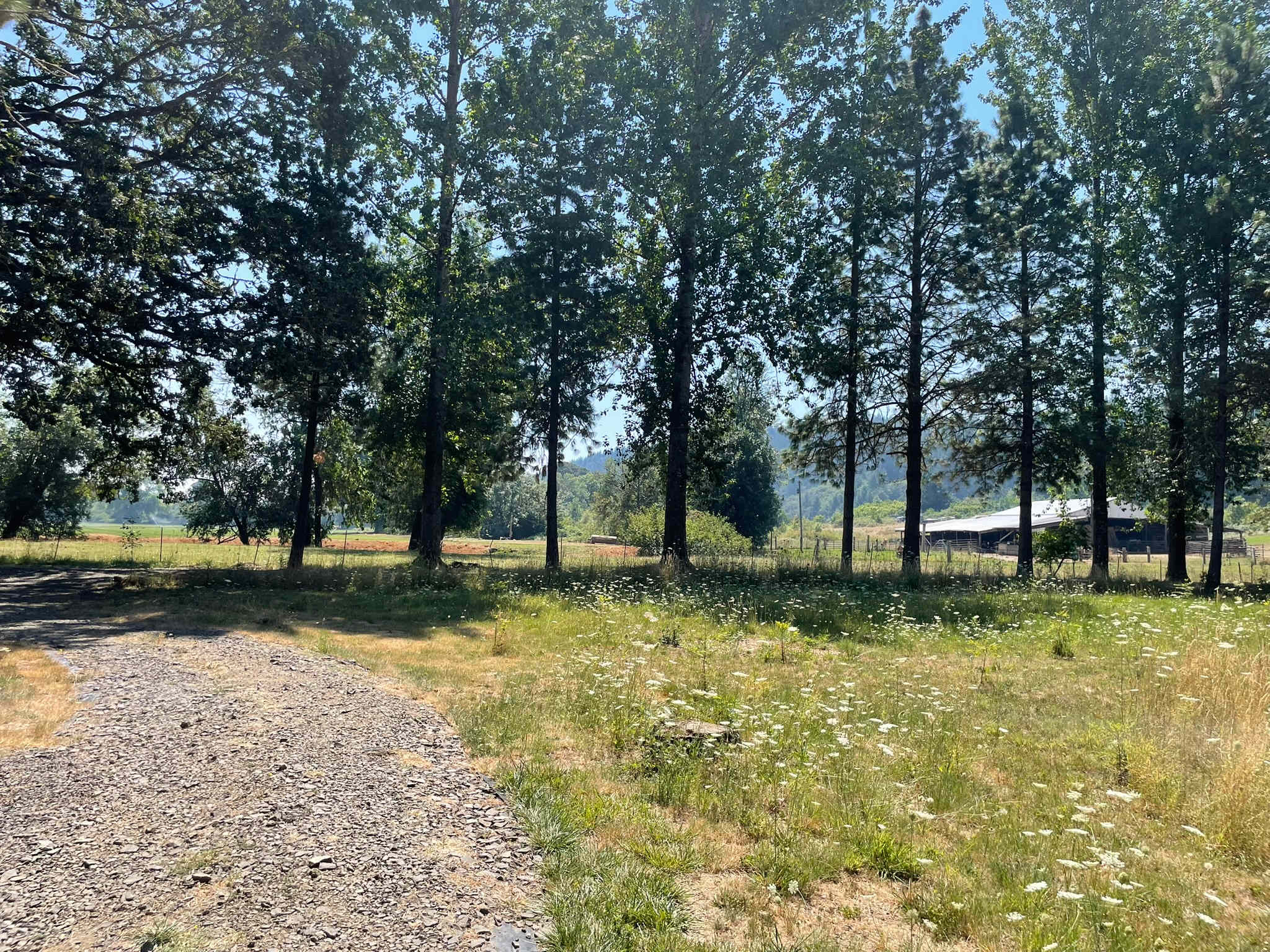 ADHD Acres