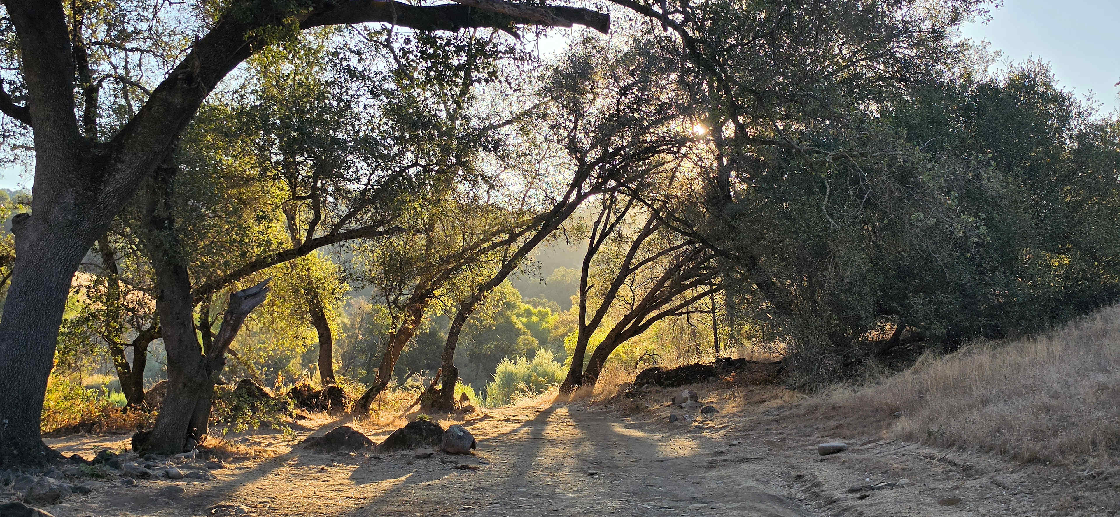 Cosumnes River Ranch