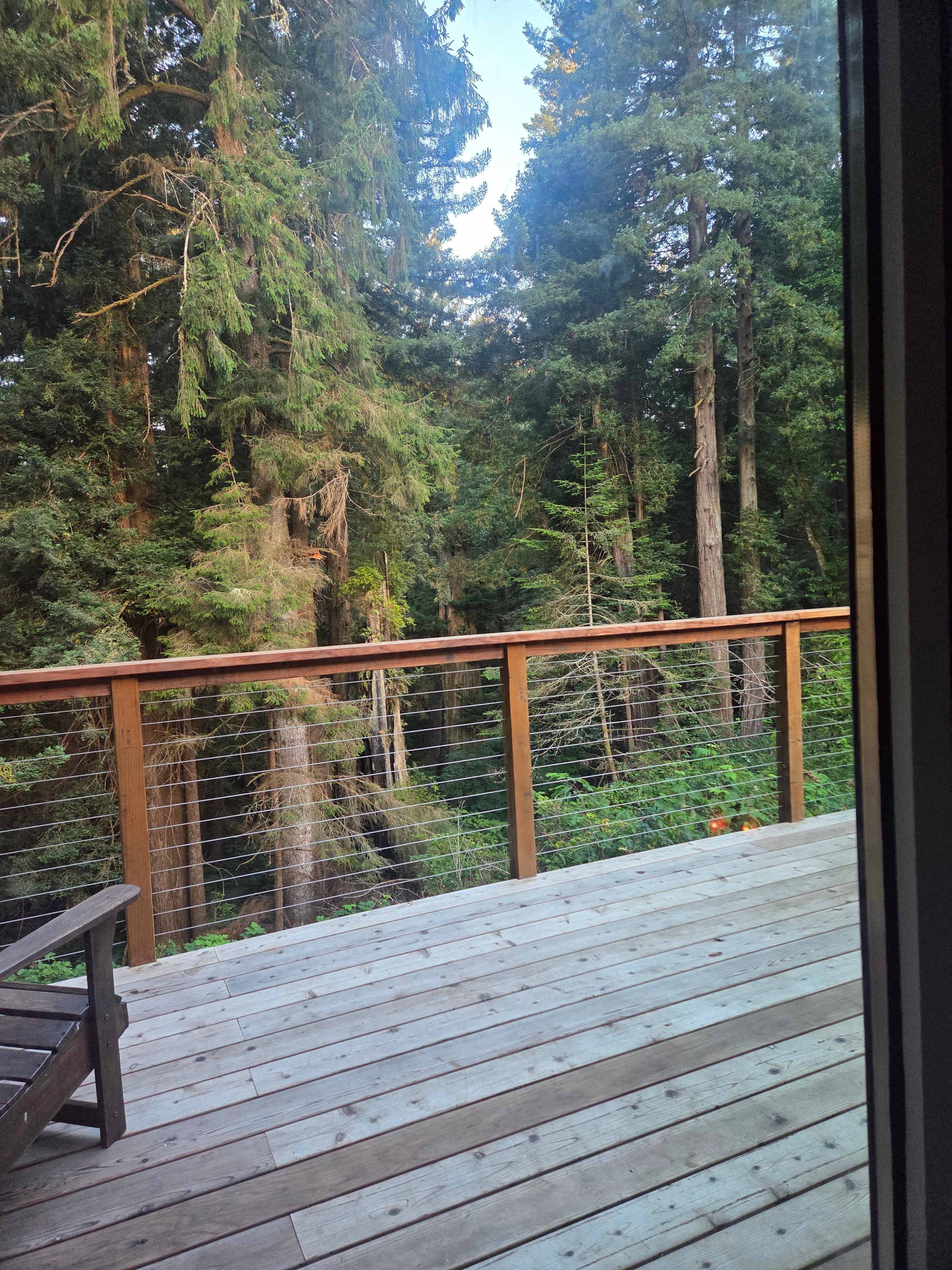 Beautiful morning view x