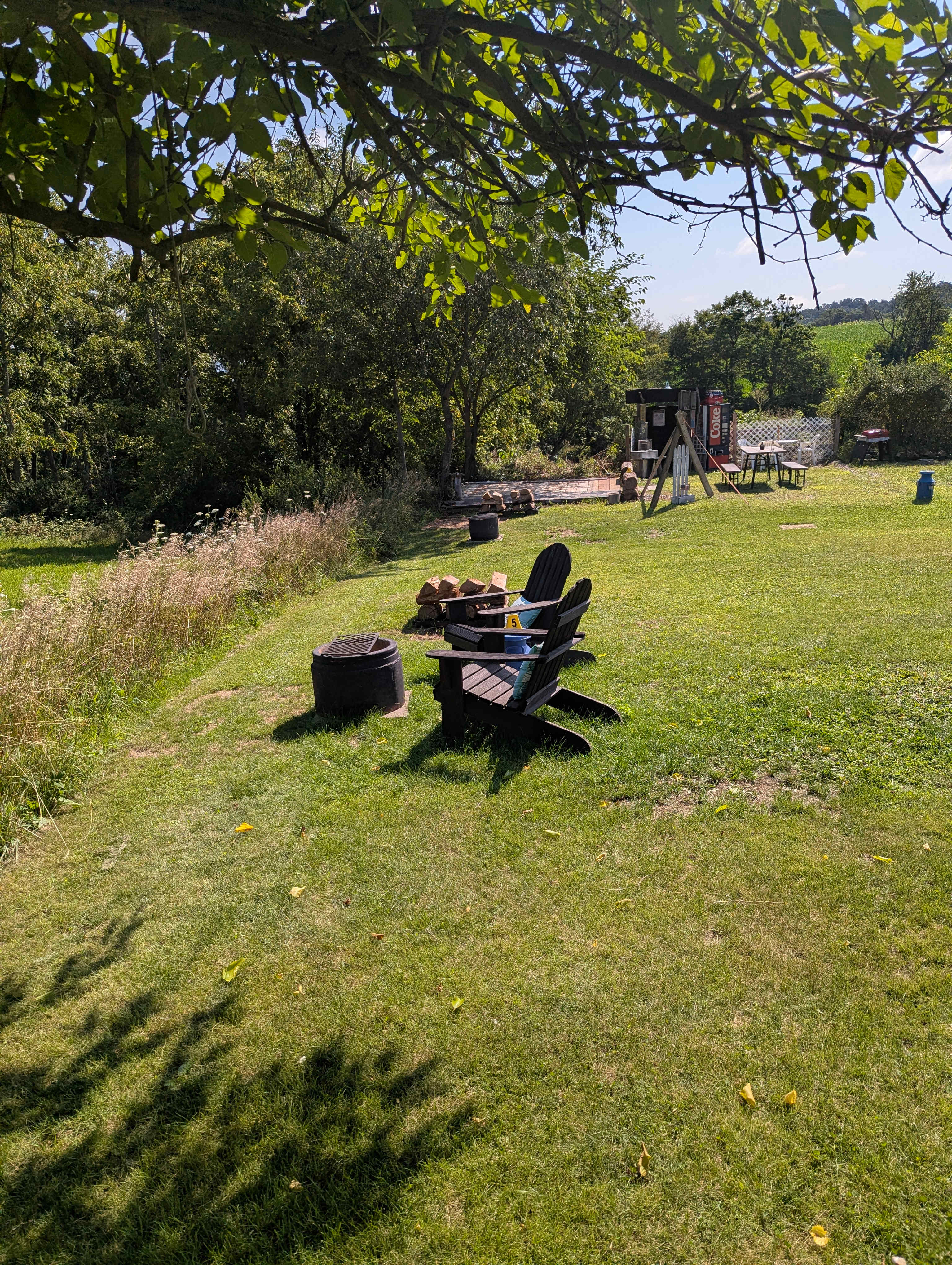 Picture of the site