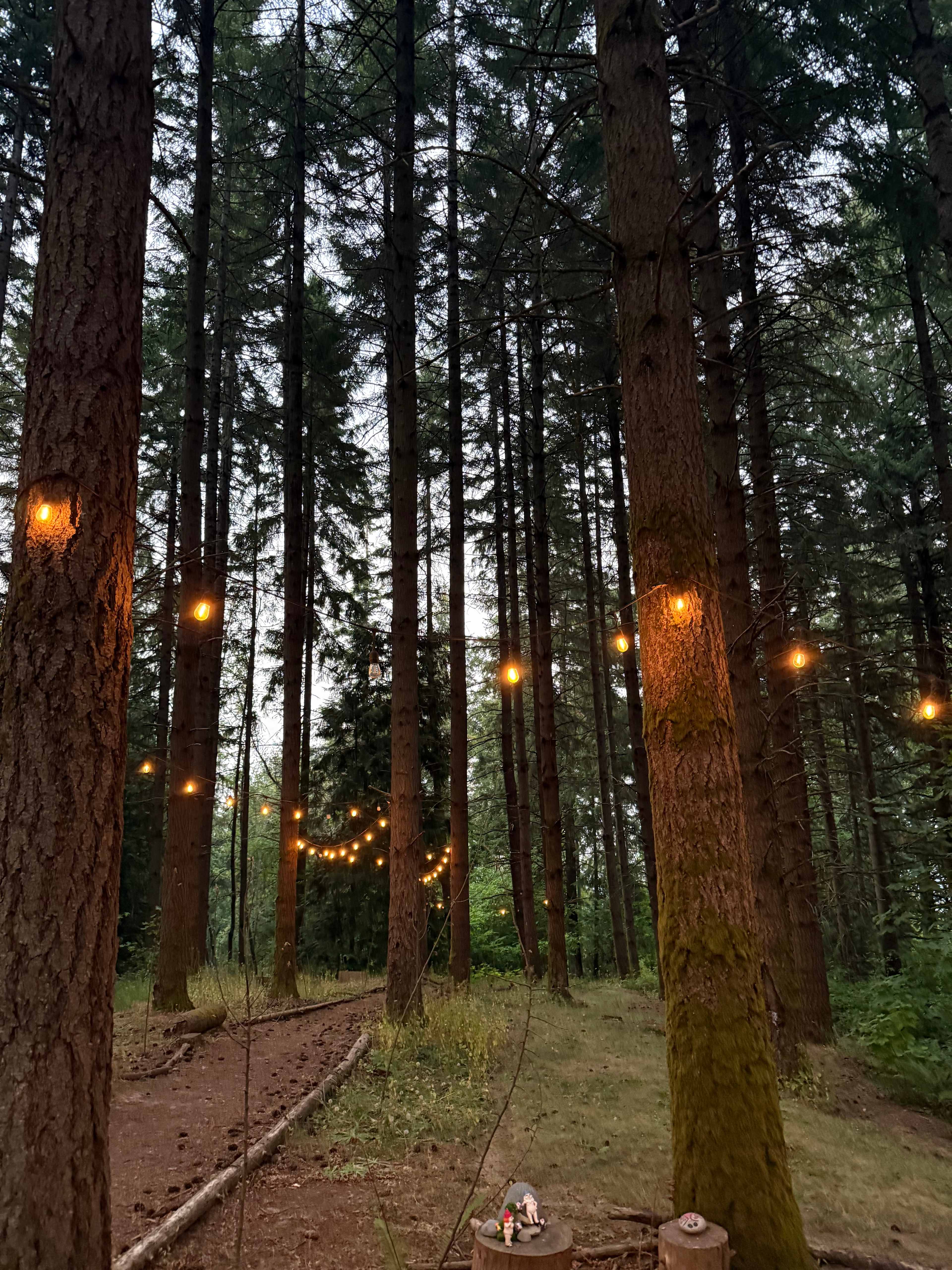 Akitaaru Forest Camp