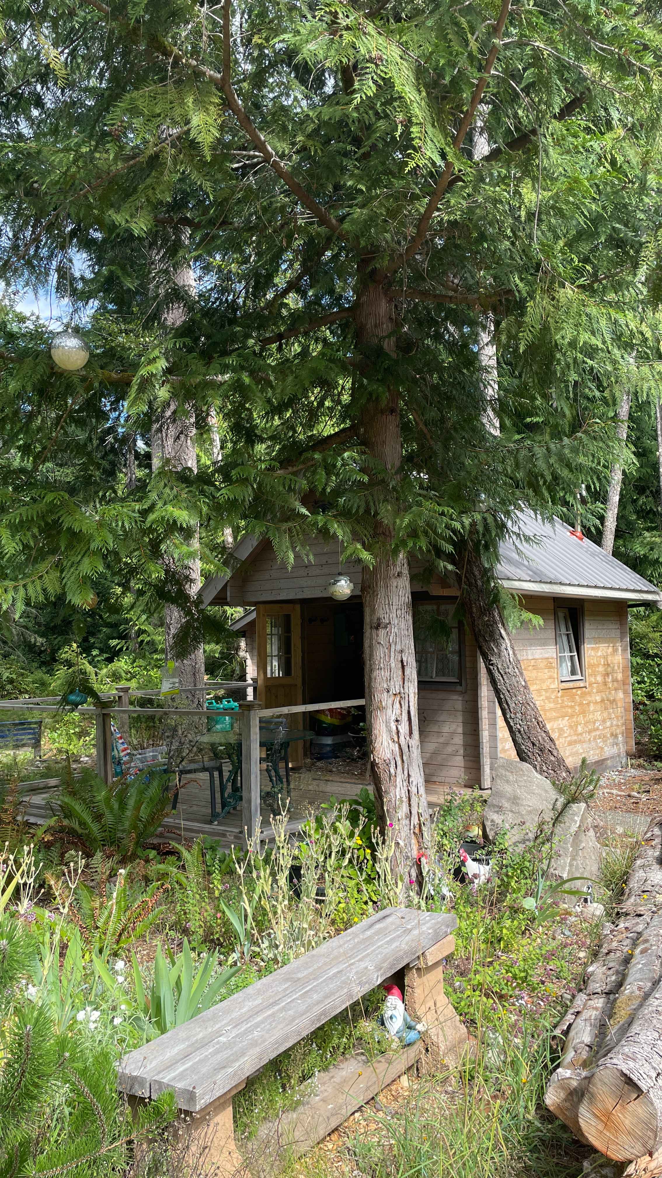 theDoighouse Earthship