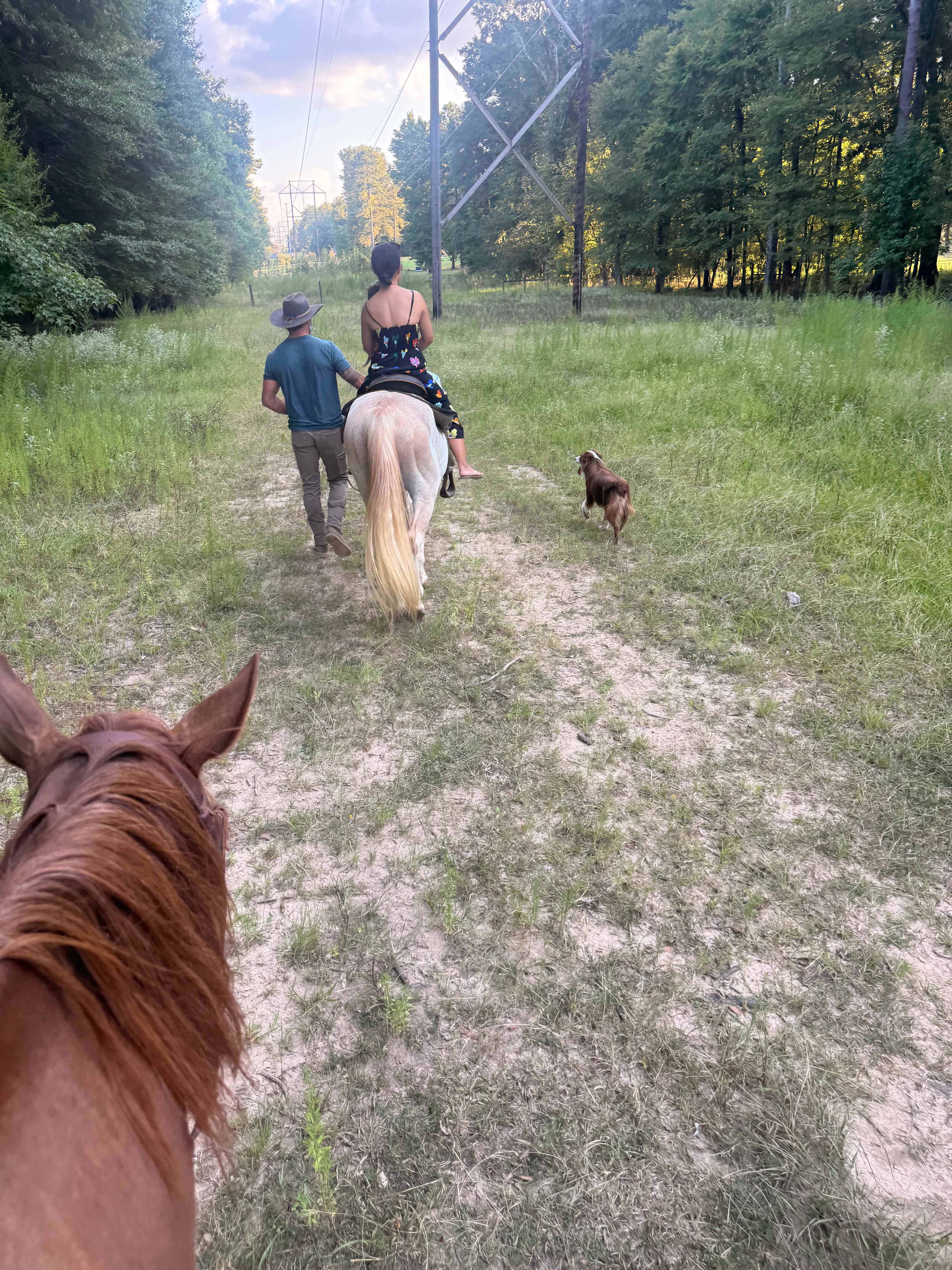 The Ranch