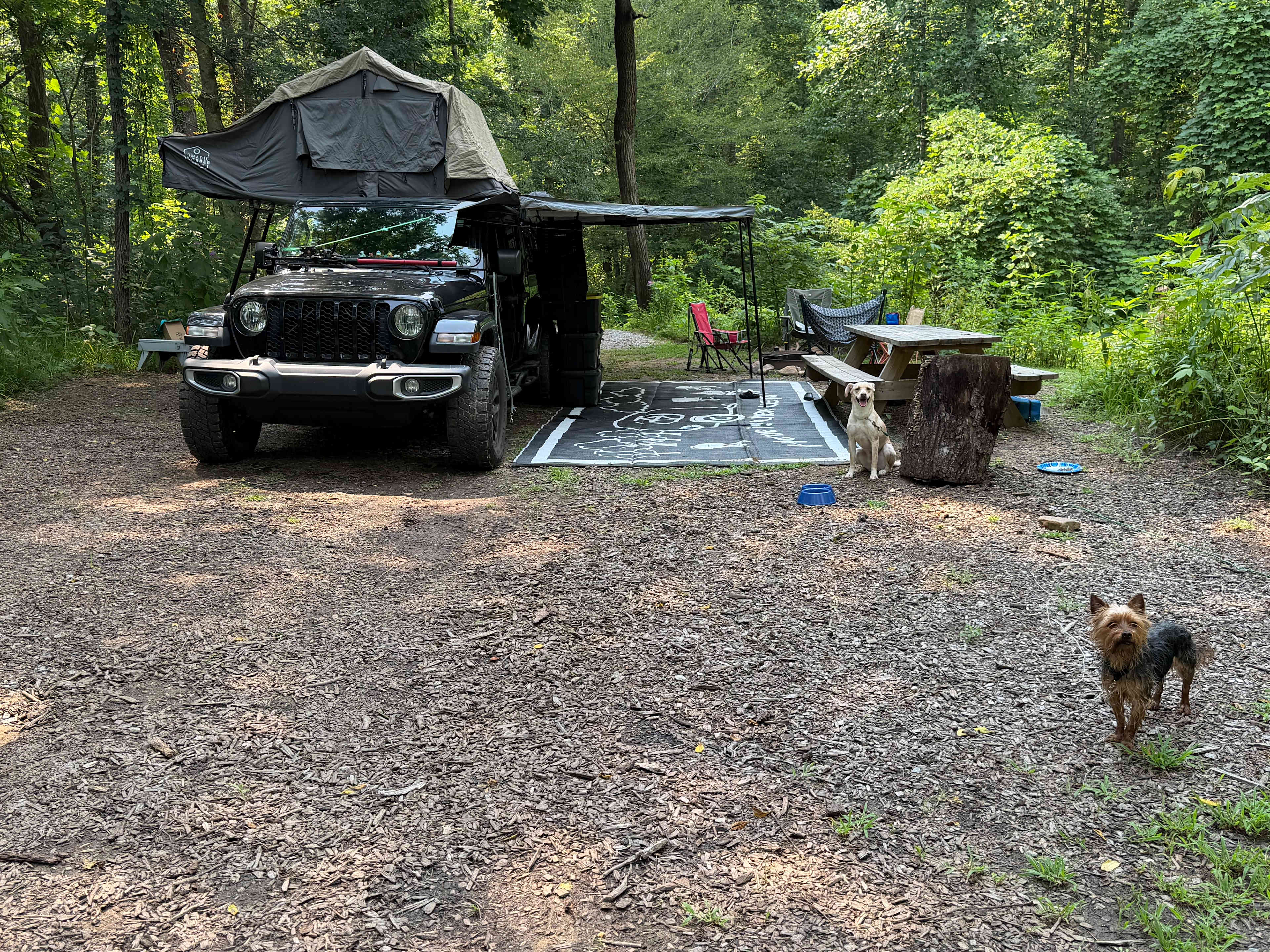 Lovely site with plenty of room for exploration and easy access to the water. Buckeye Bank. 
