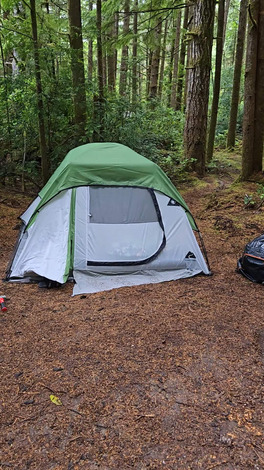 Trip Camp- Secluded Forest by Beach
