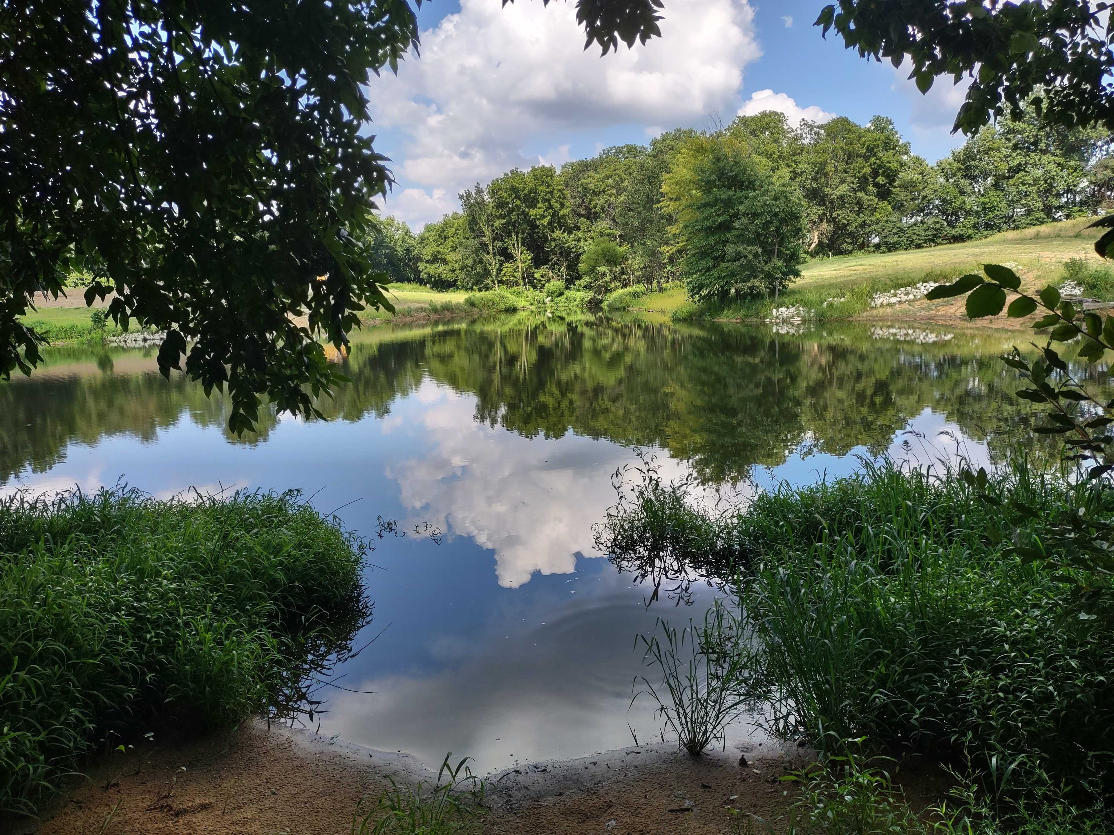 Bear Creek Farm and Ranch