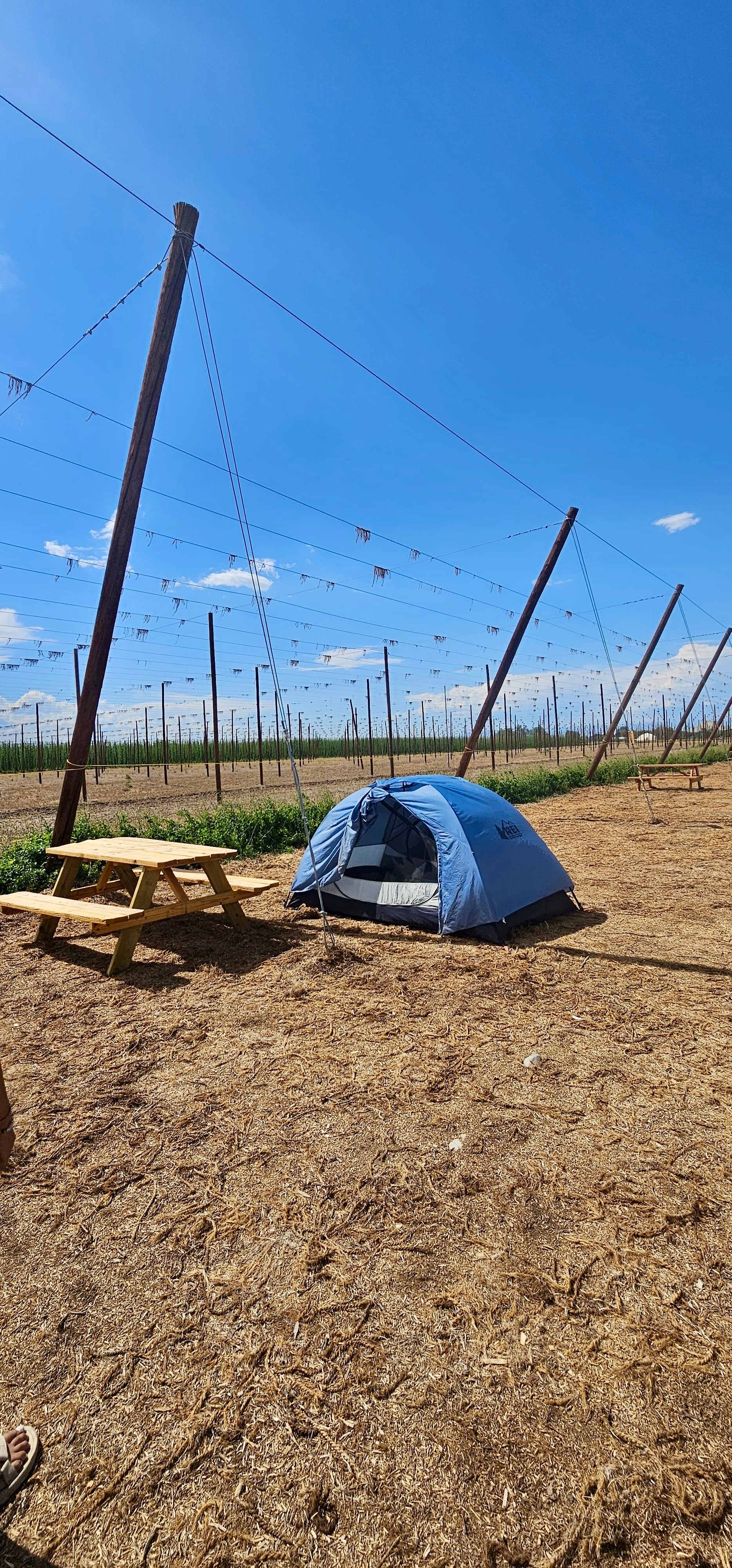 The Hop Yard Hideaway