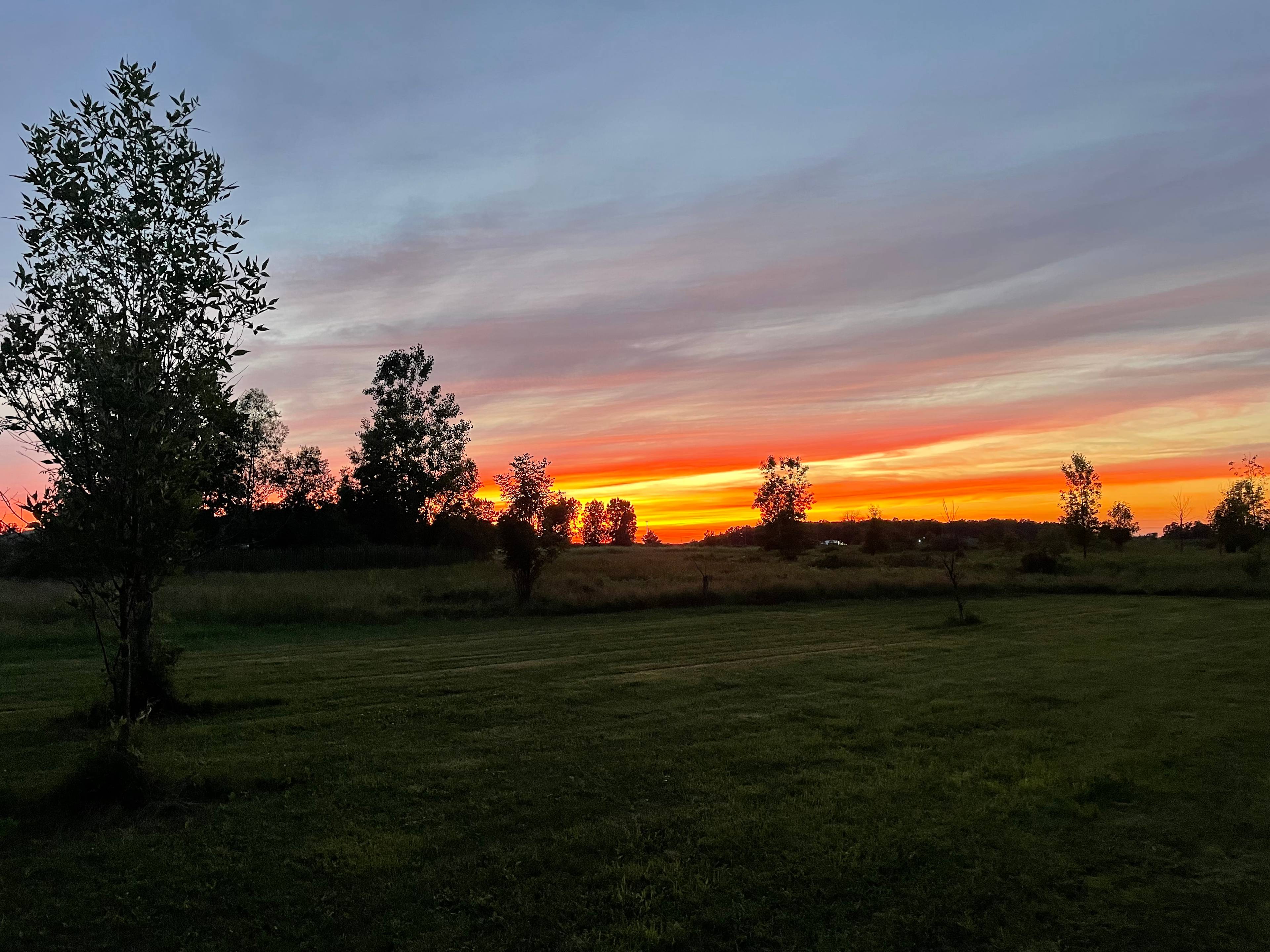 Shire Farm