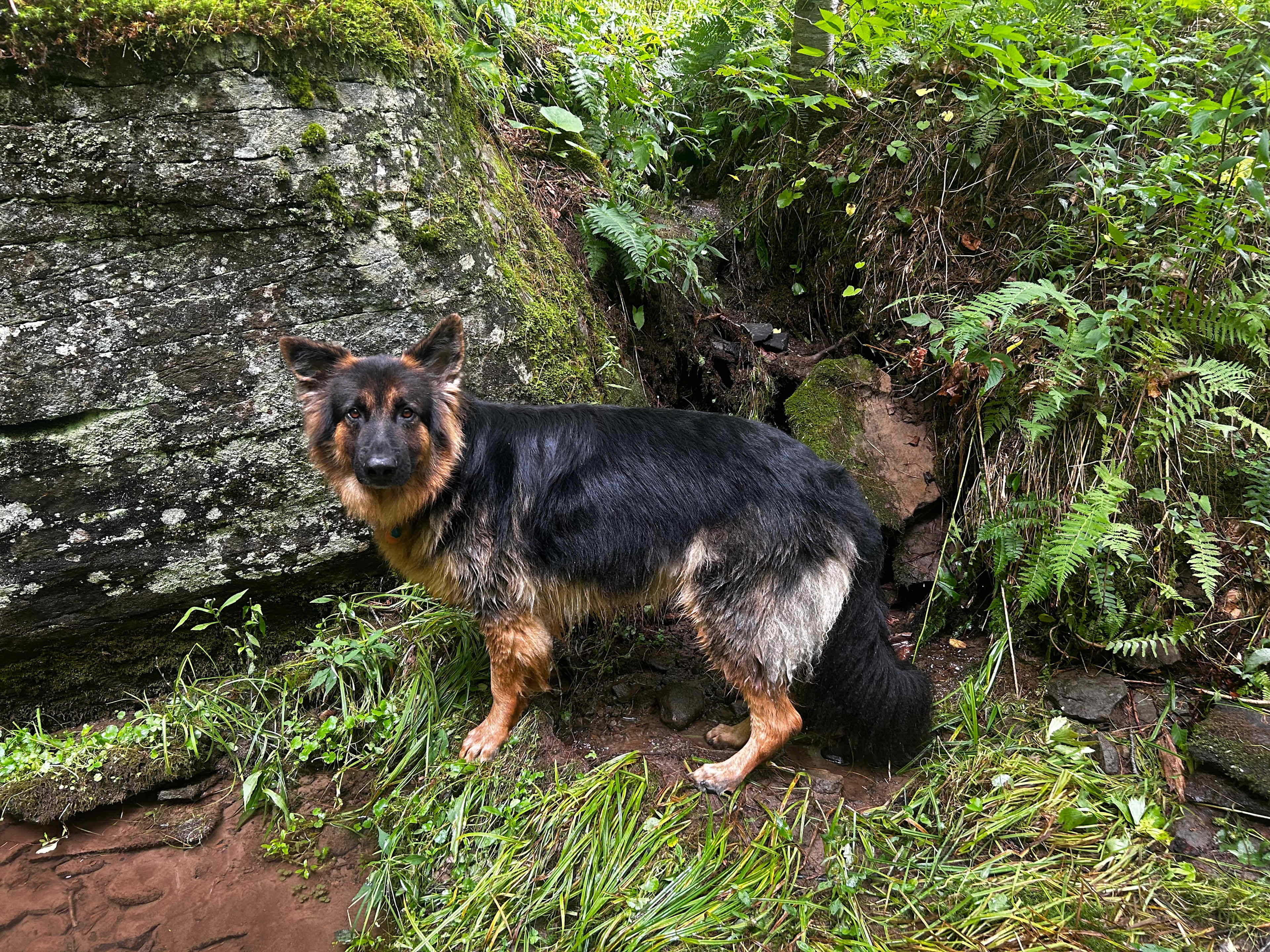 By the swimming hole. 
