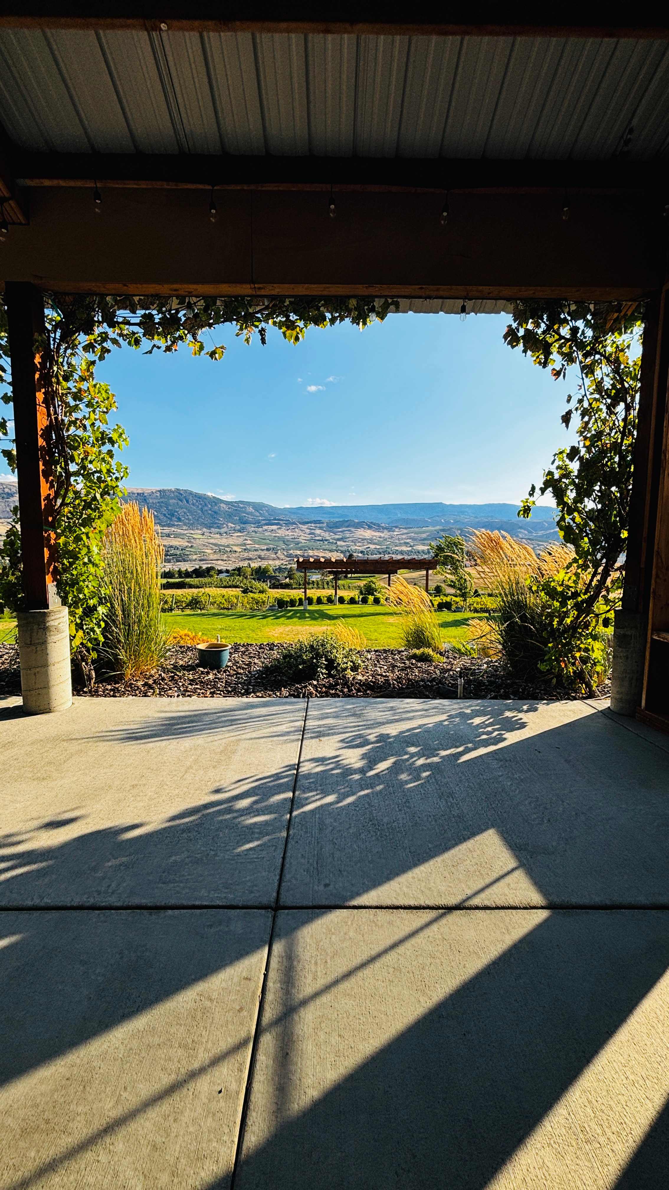 Bianchi Vineyards RV Site