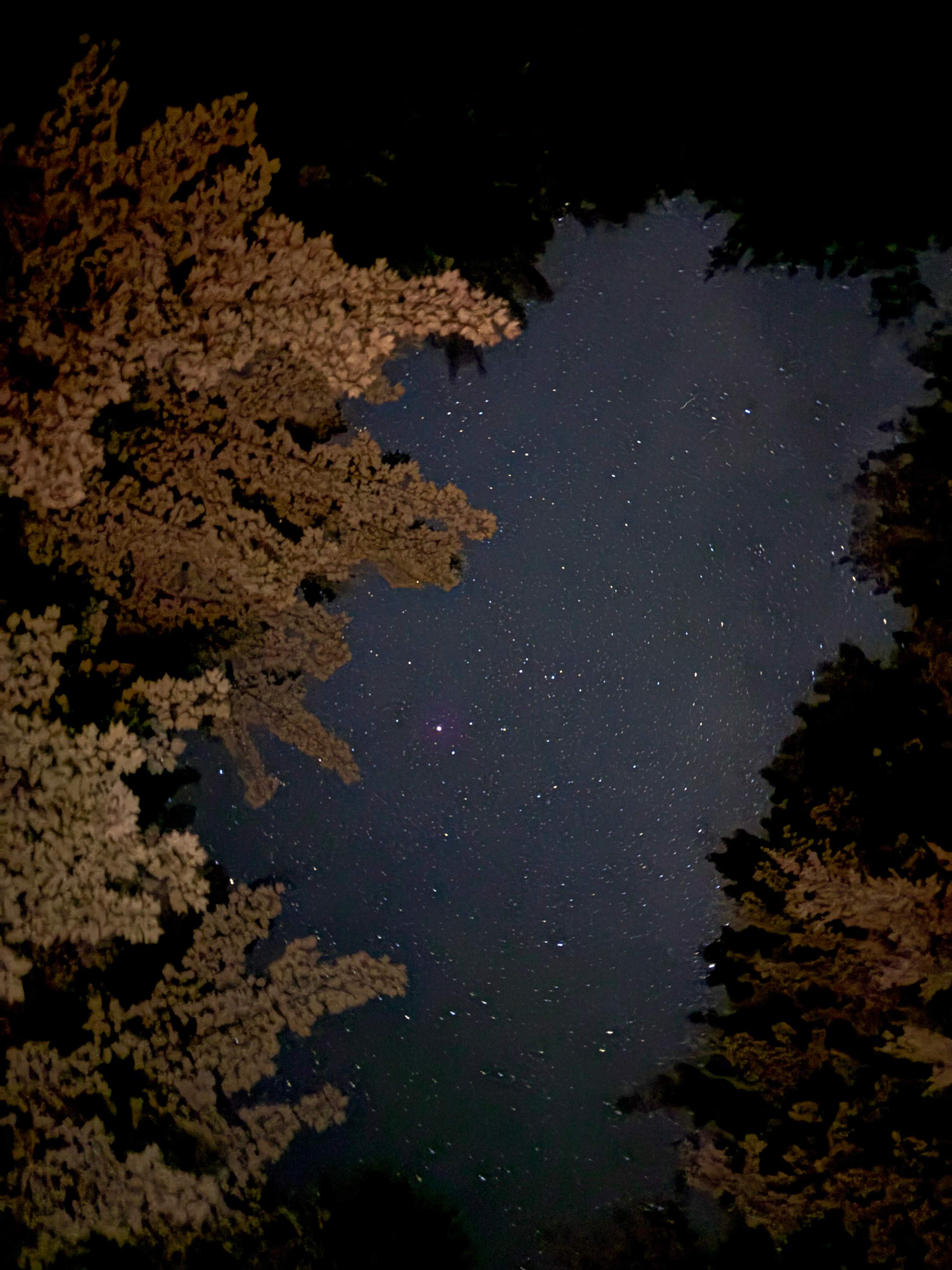 Our view of the incredible stars!