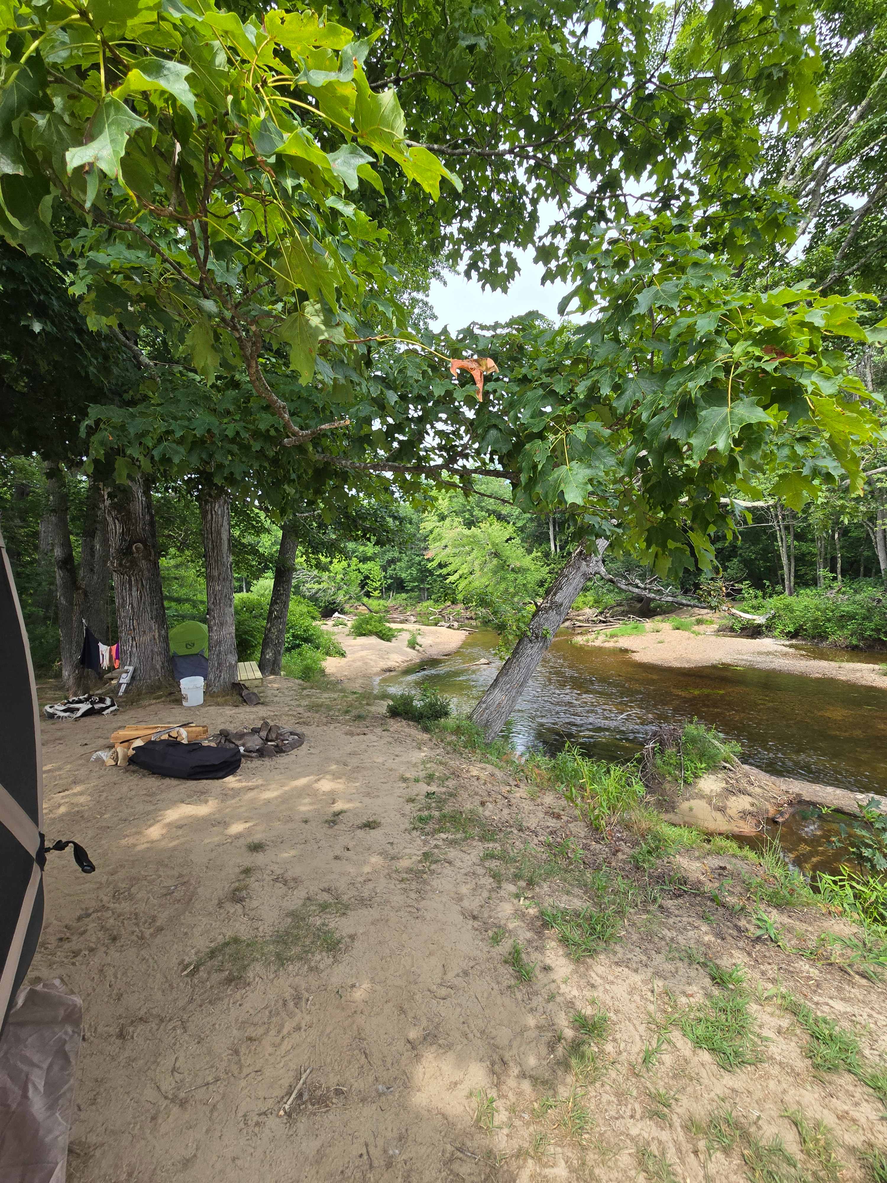 Site #3