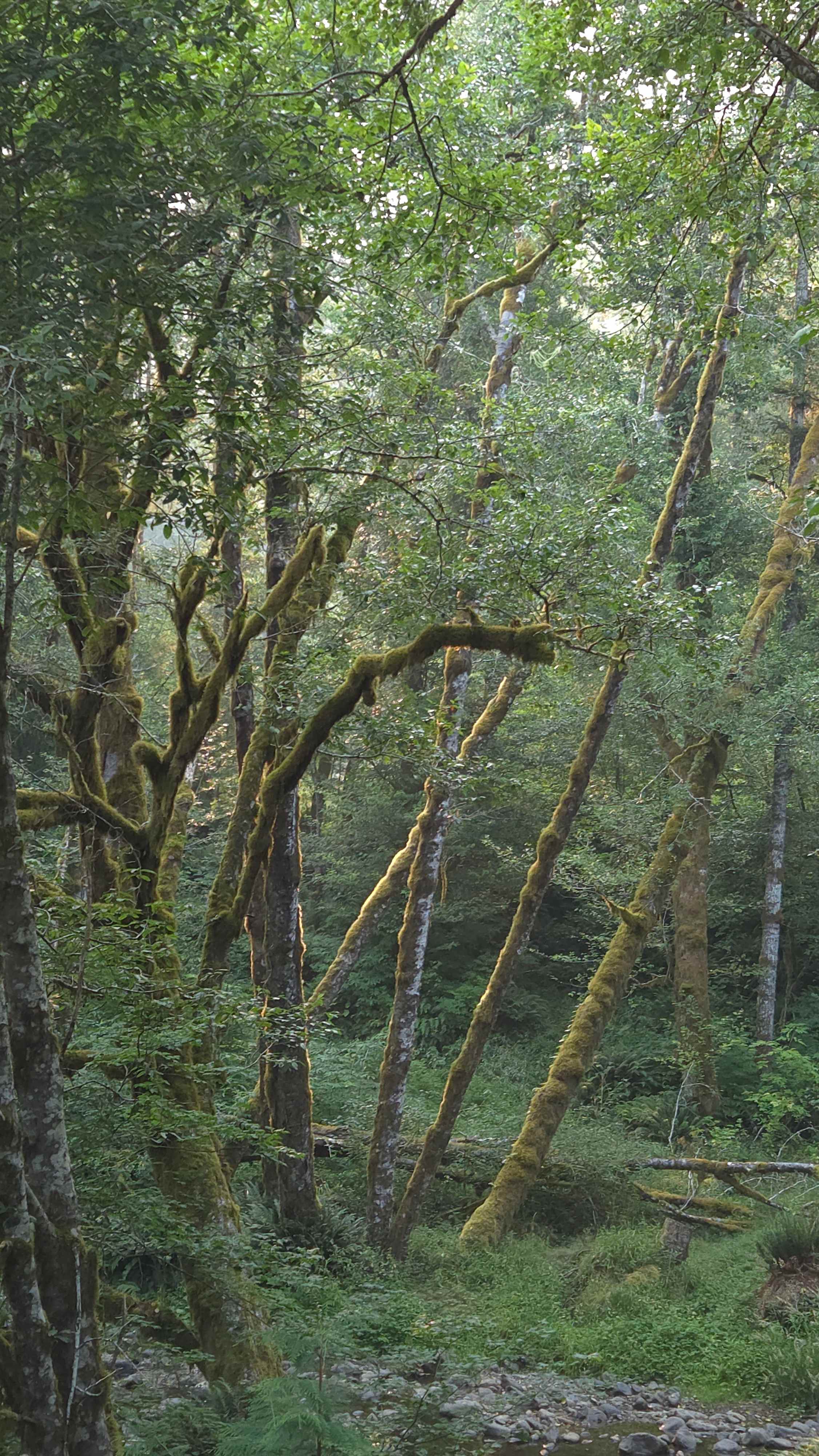 Powder Creek Campground
