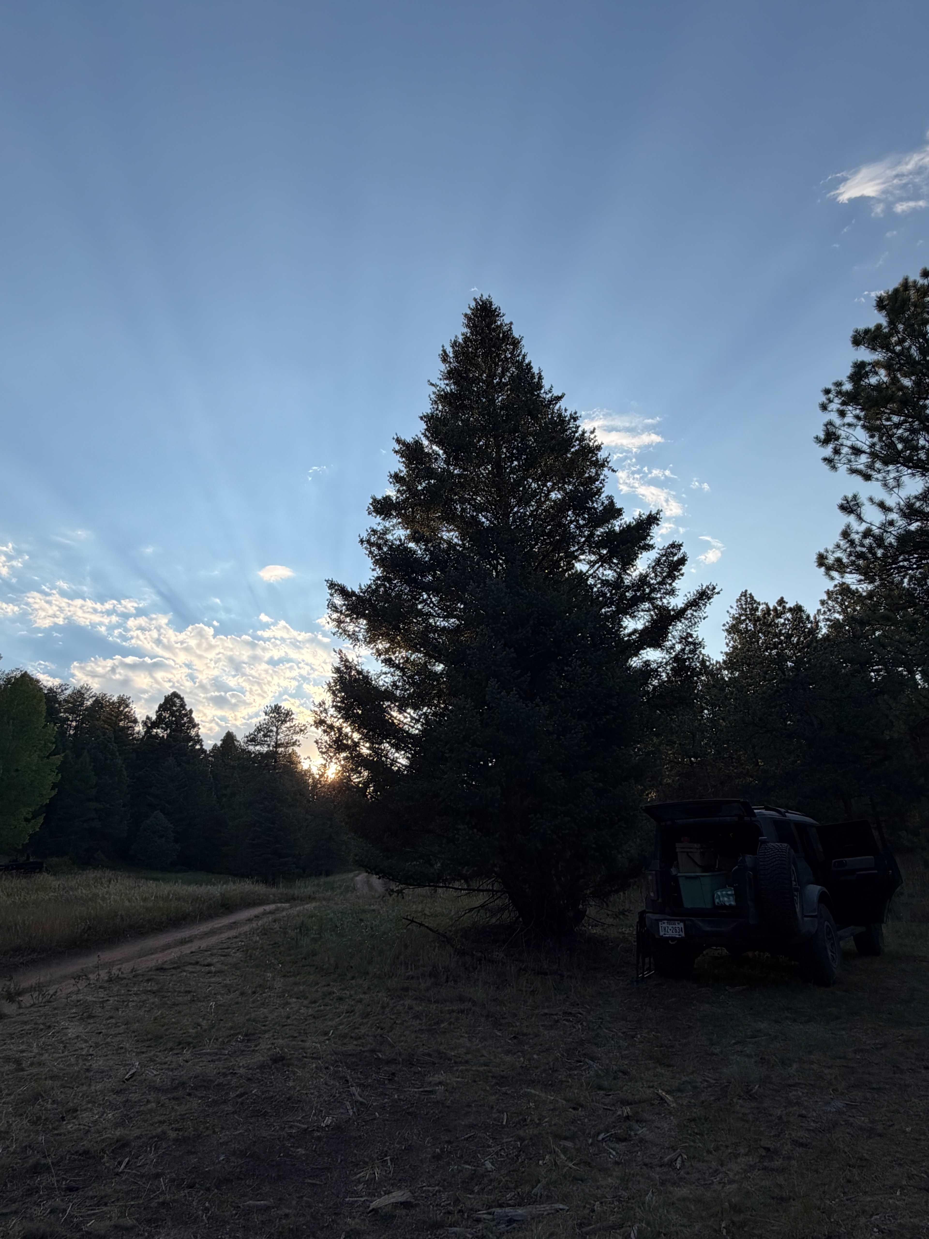 Serenity in the Foothills