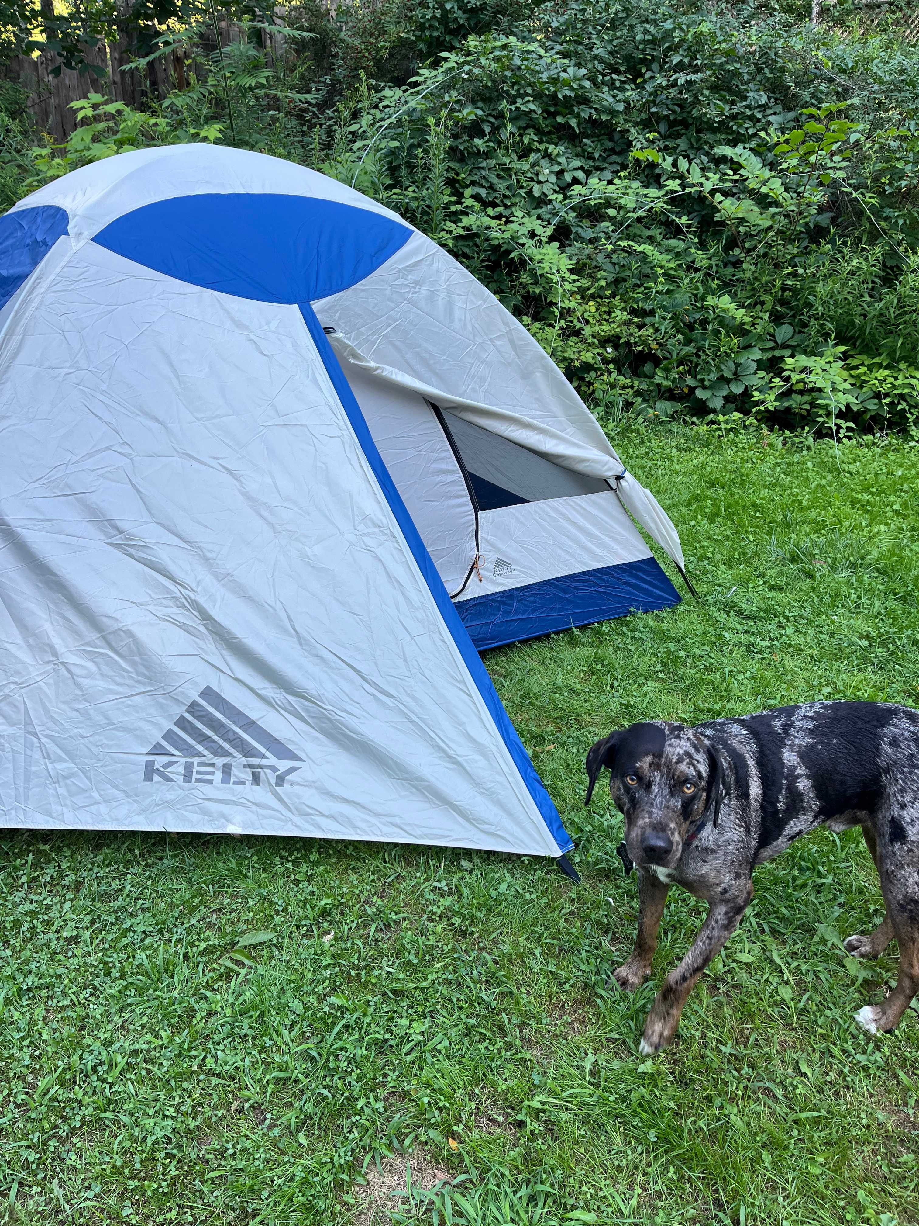 Our tent setup