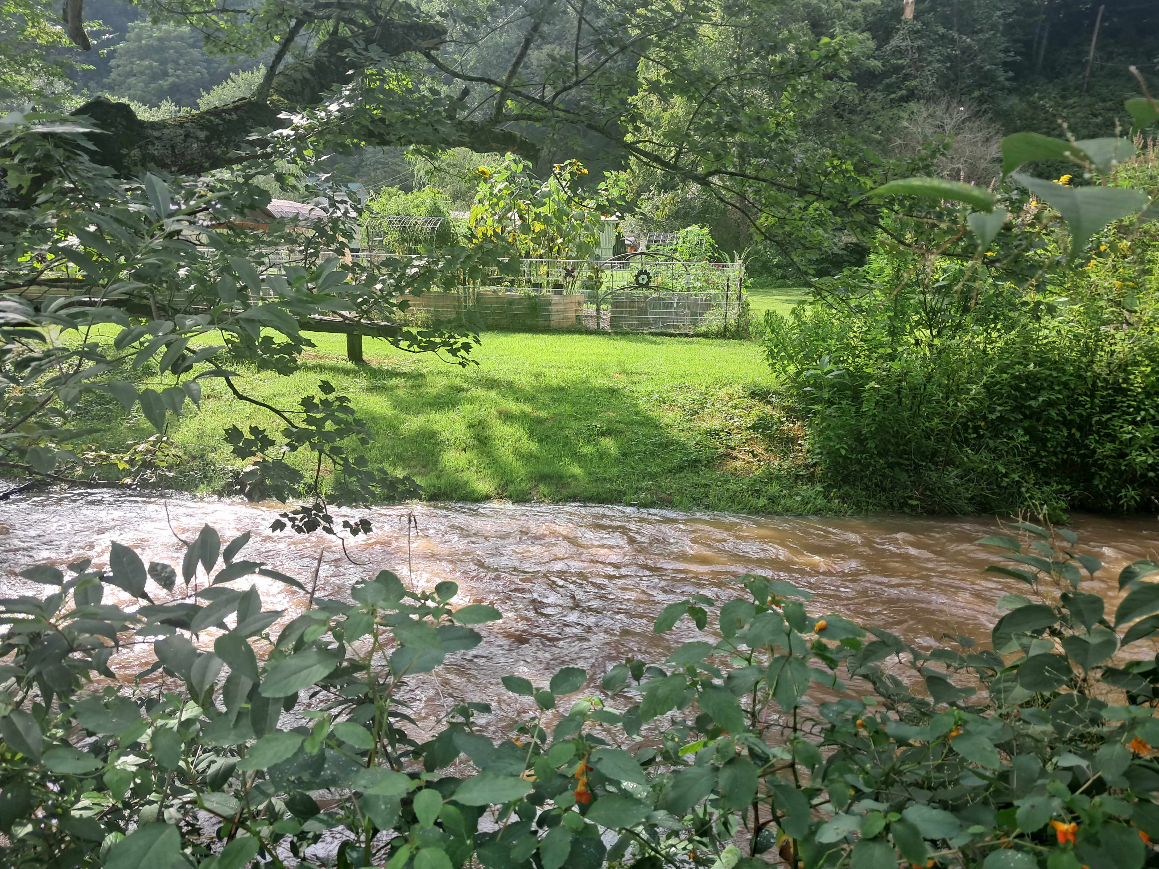 Conleys Creek Campground
