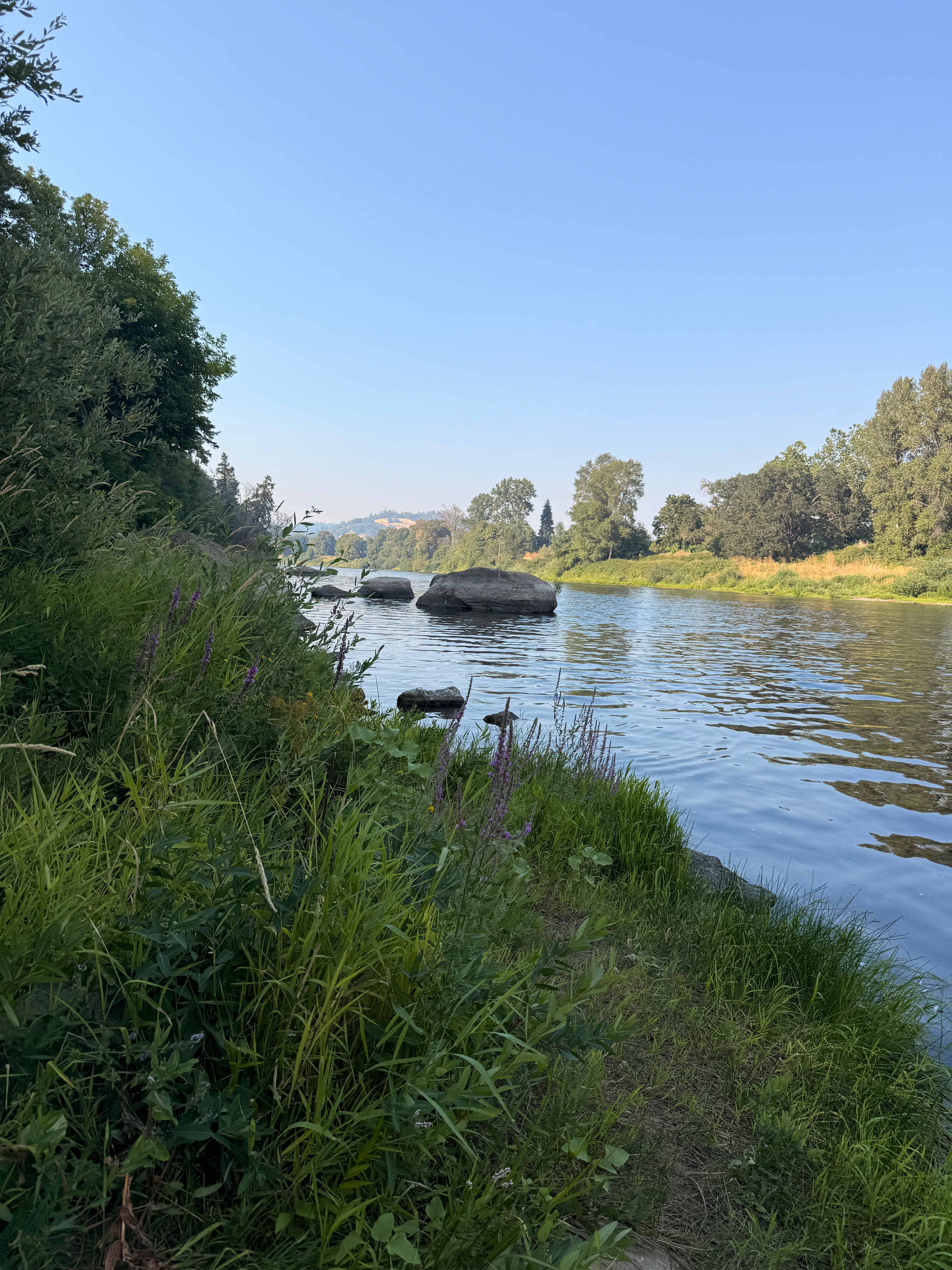 Took a dip in the Umpqua nearby