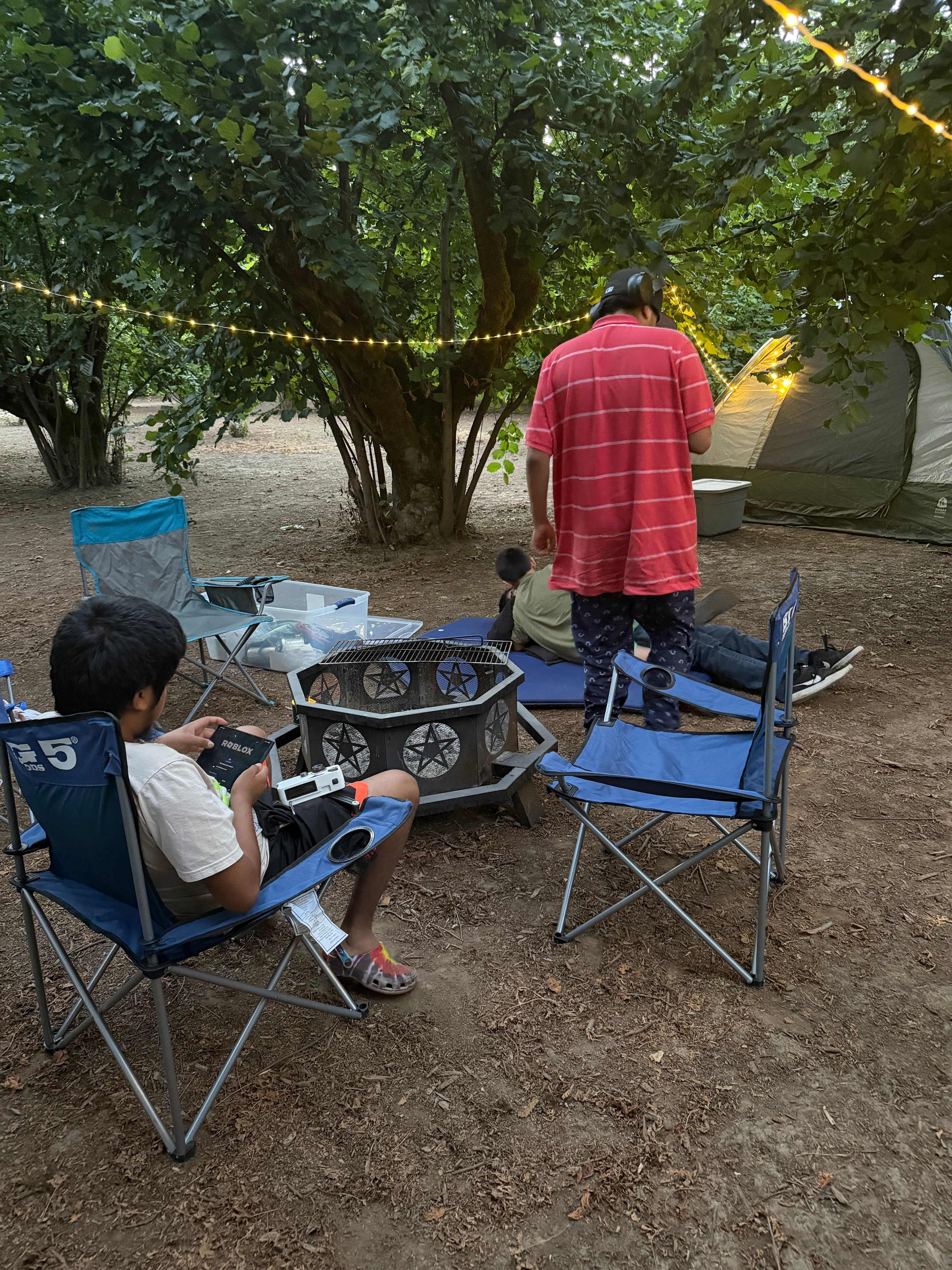 Tranquil Orchard and Wine Tours