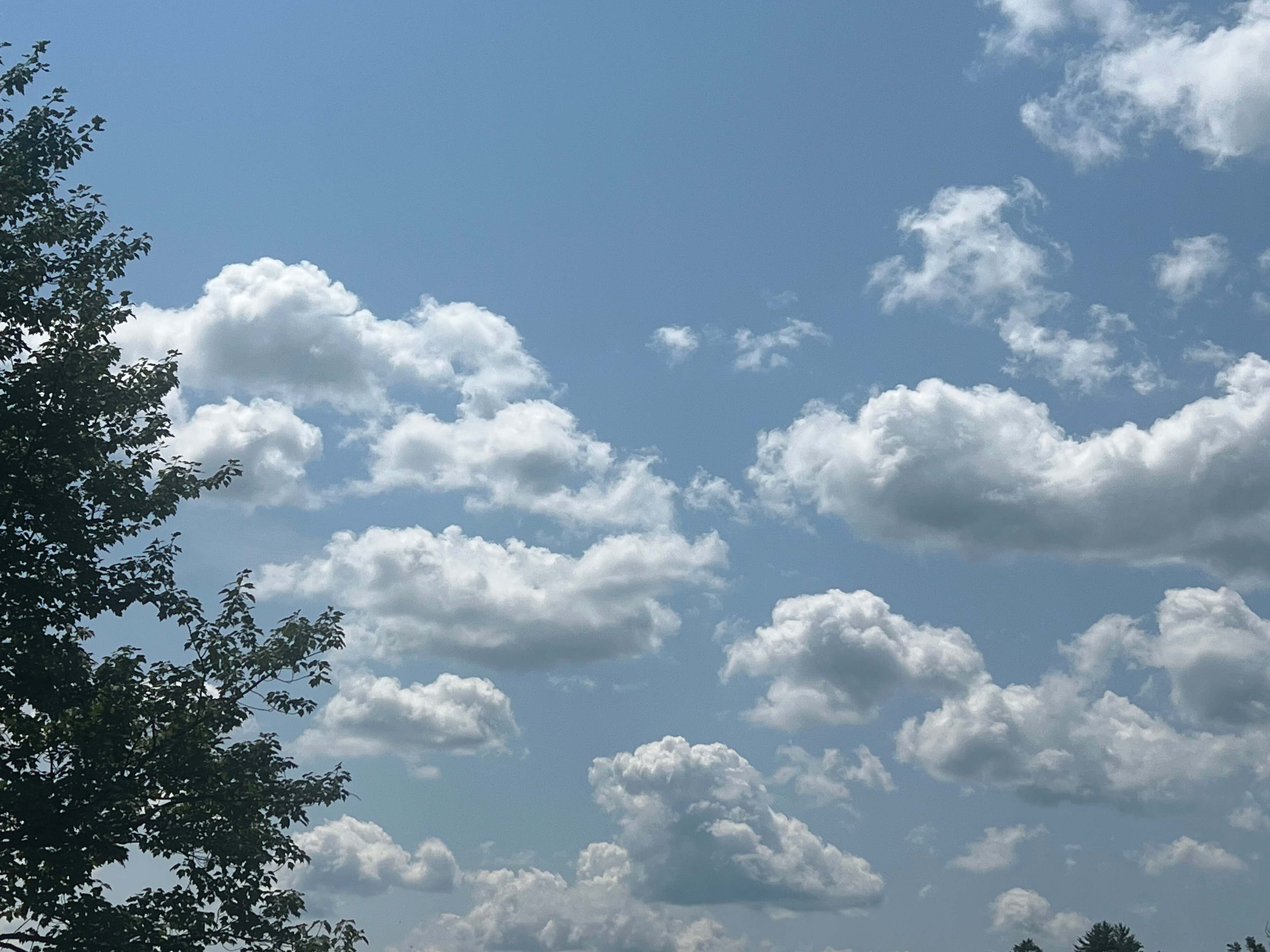 When it stopped raining, it was so beautiful