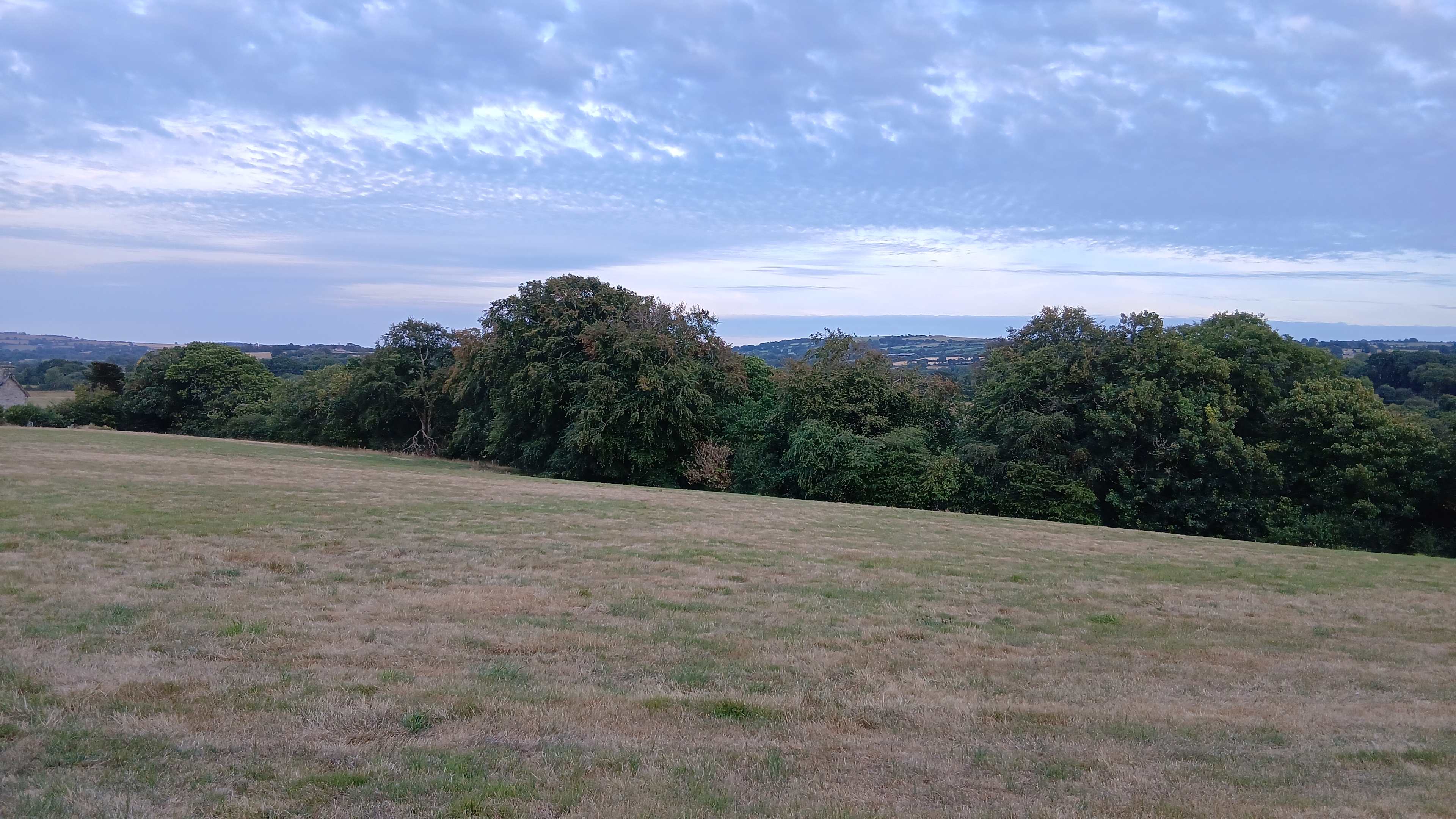 Maes Gwennol Camping